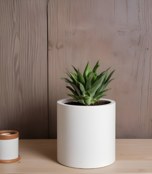 A plant in a white pot on a wooden table, tabletop round FRP planter.