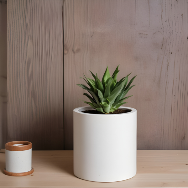 A plant in a white pot on a wooden table, tabletop round FRP planter.