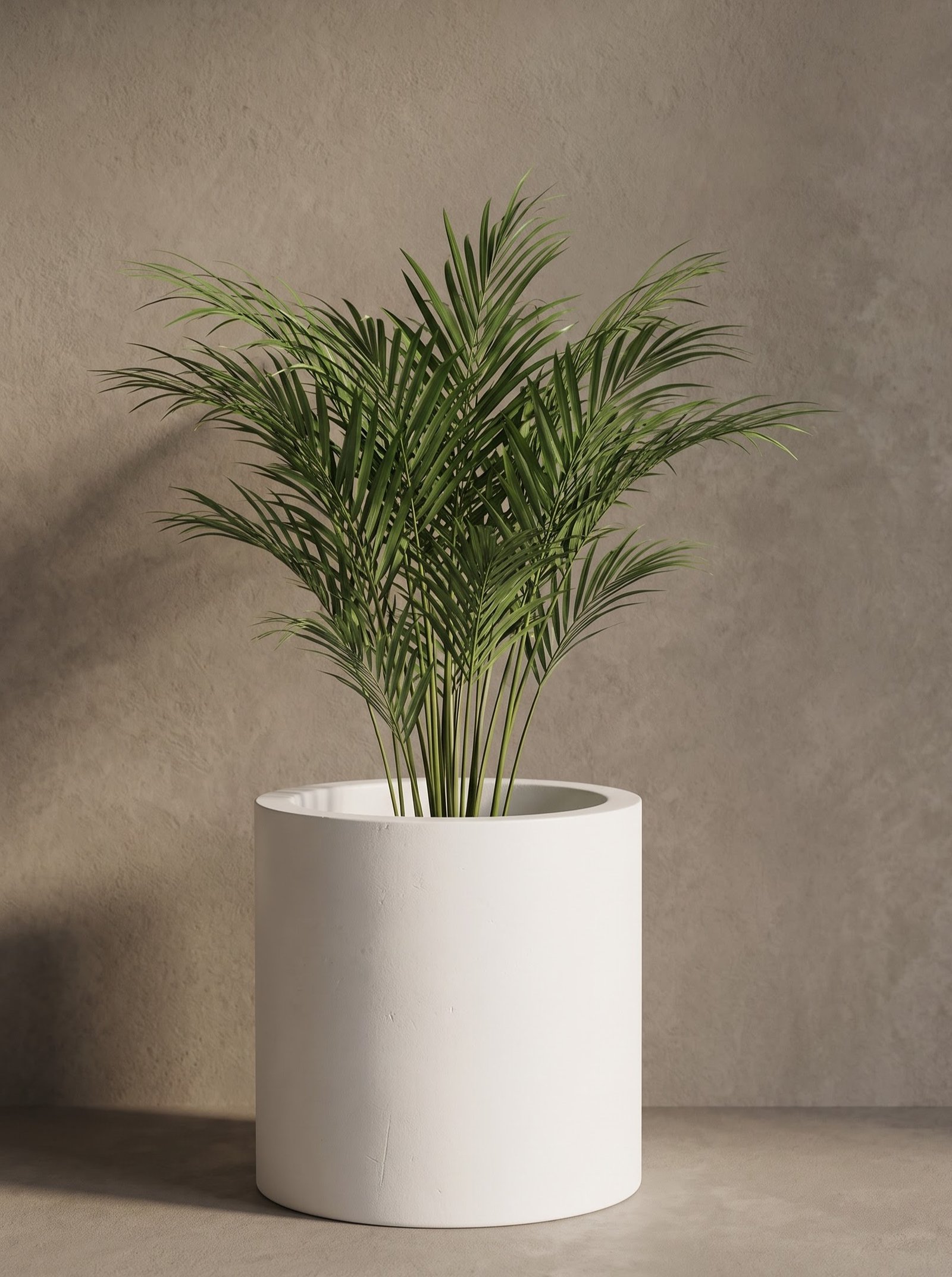 Dates - Image 12