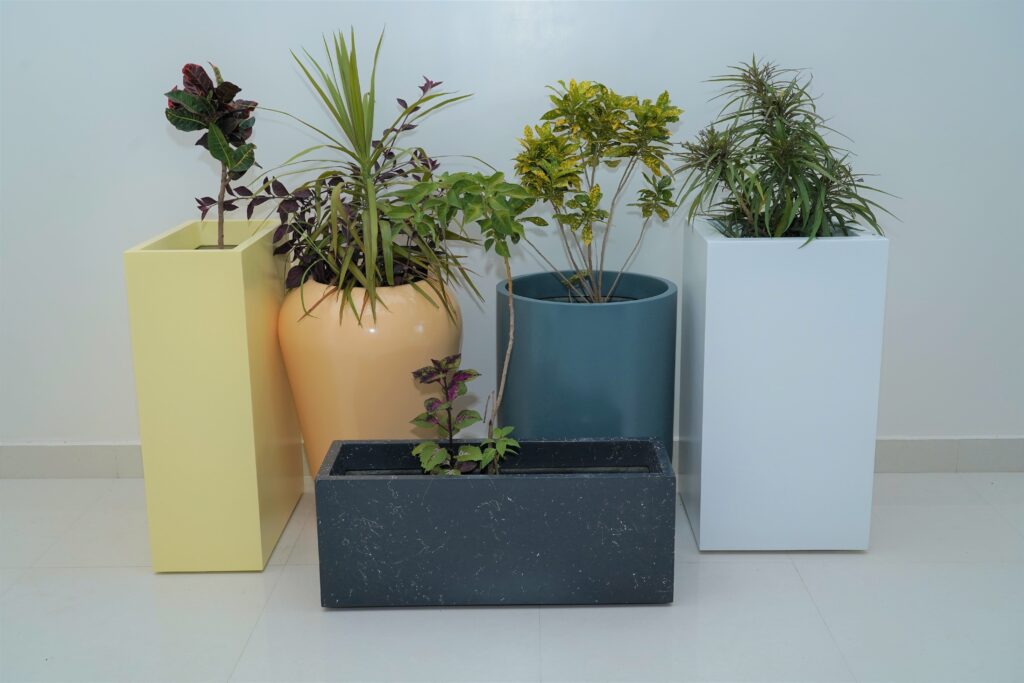 A collection of five distinct FRP planters, each showcasing a unique shape and color, perfect for adding variety to your outdoor decor.A collection of four distinct FRP planters, each showcasing a unique shape and color, perfect for adding variety to your outdoor decor.