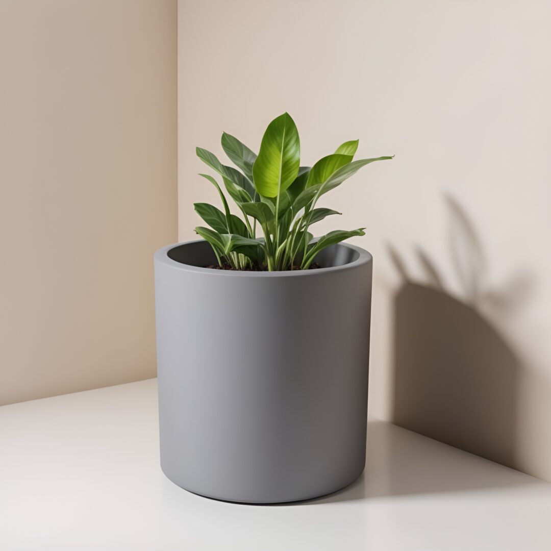 A grey plant in a round pot on a table. The pot is placed on a off white table.