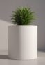 output_image (4)