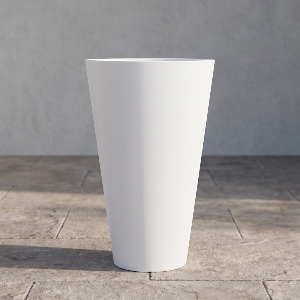 Cono