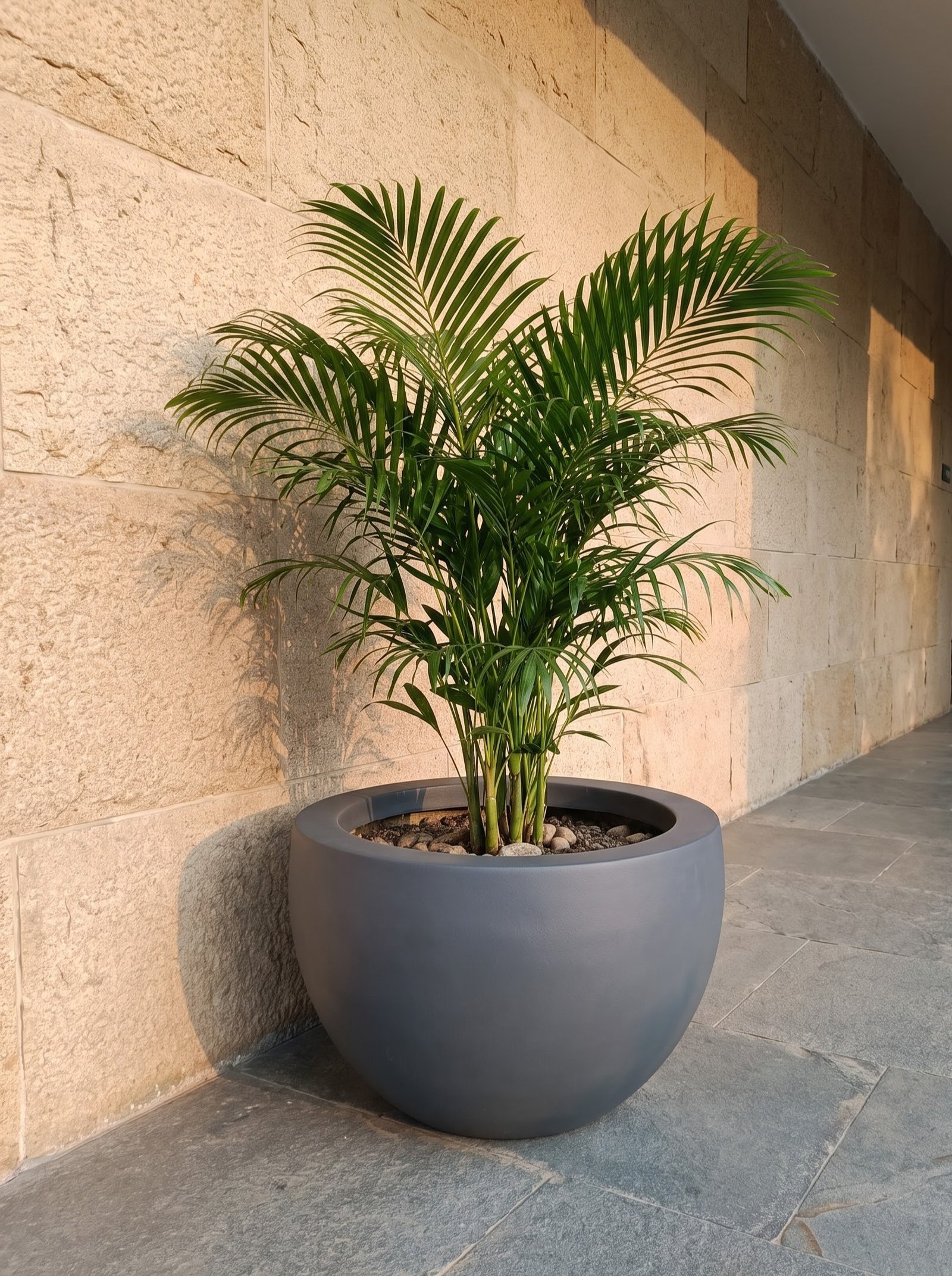Bowl-A - Image 11