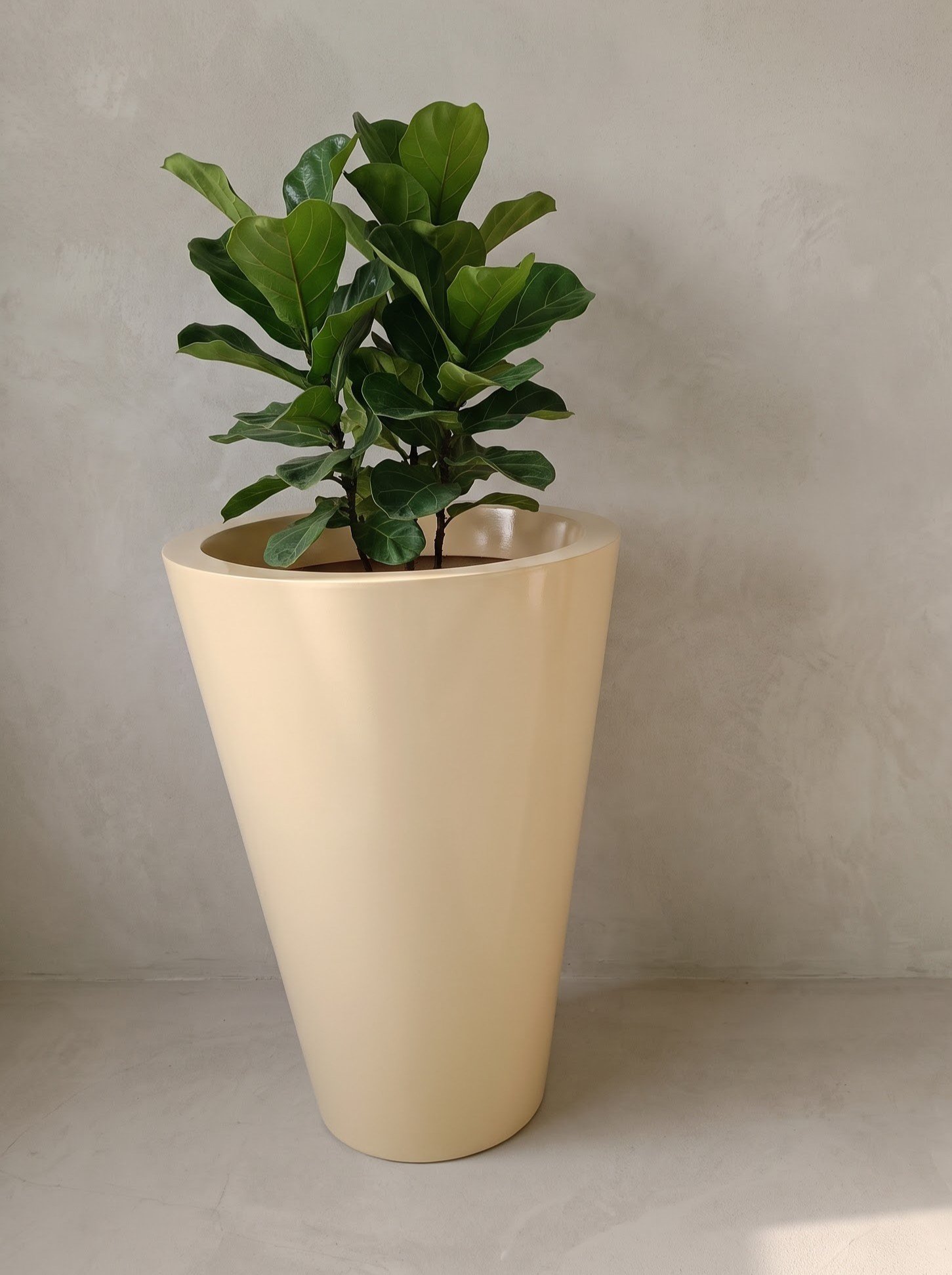 Cono - Image 11