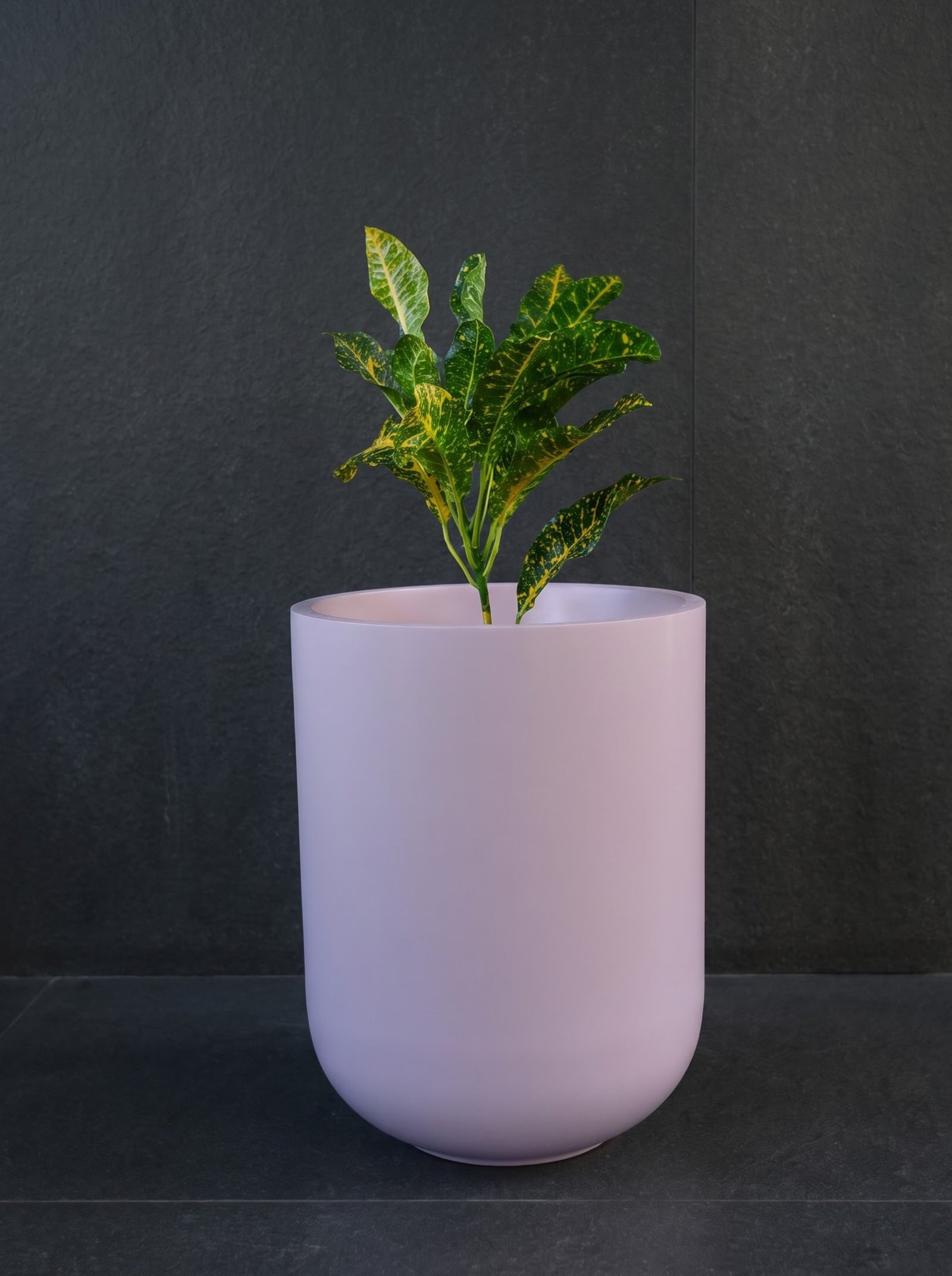 Cylinder-A - Image 9