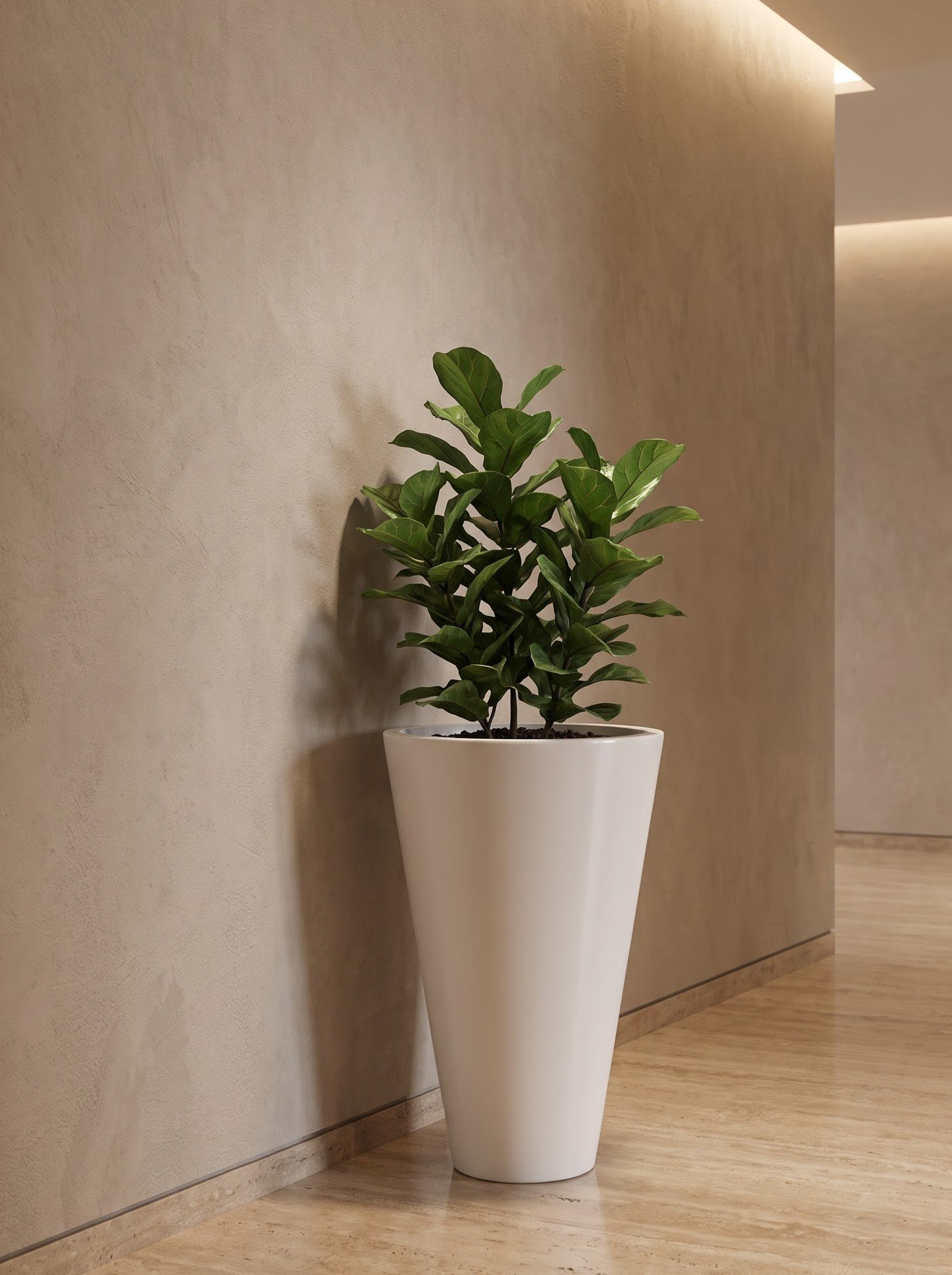 Cono - Image 9
