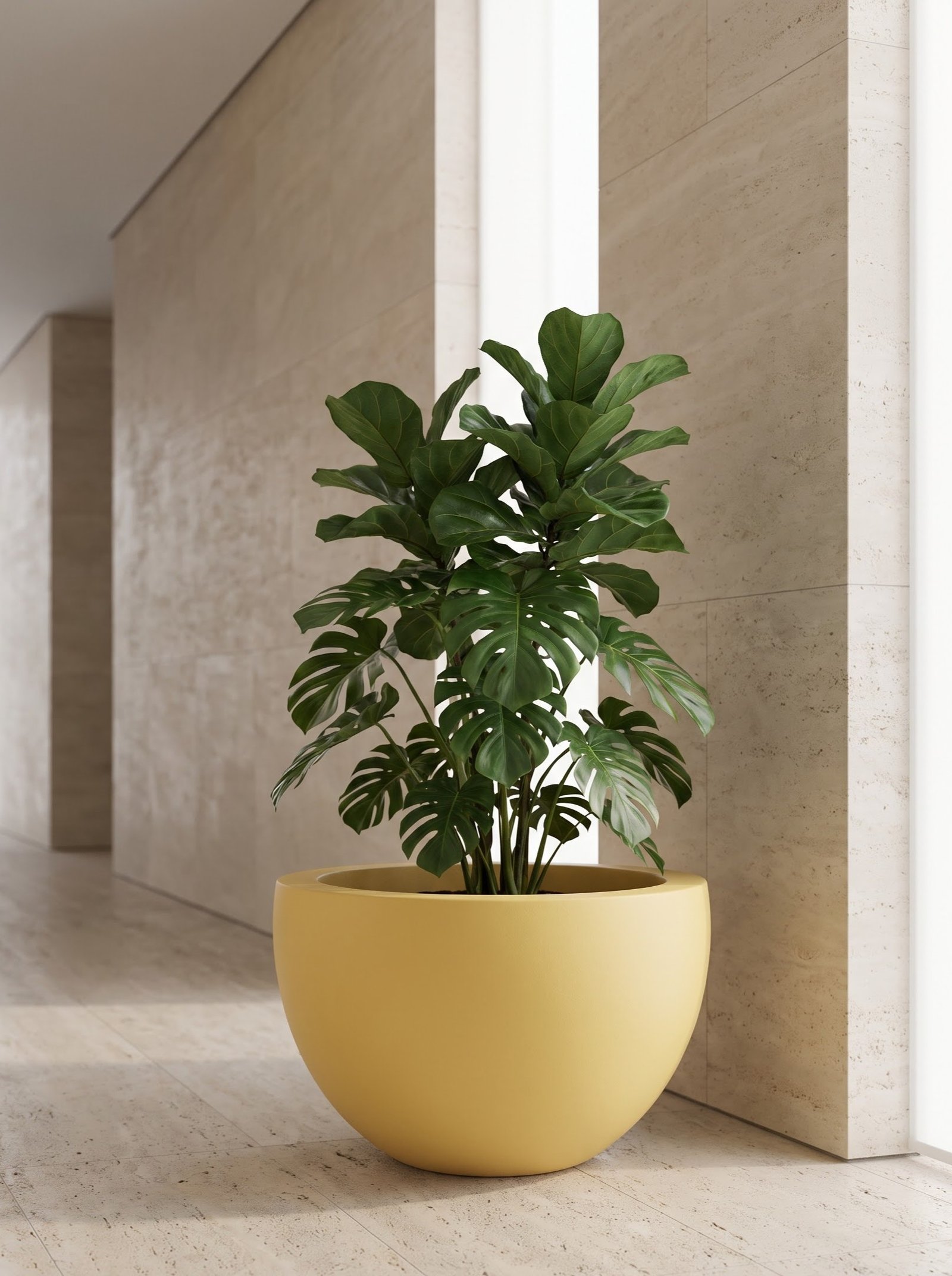 Bowl-A - Image 12