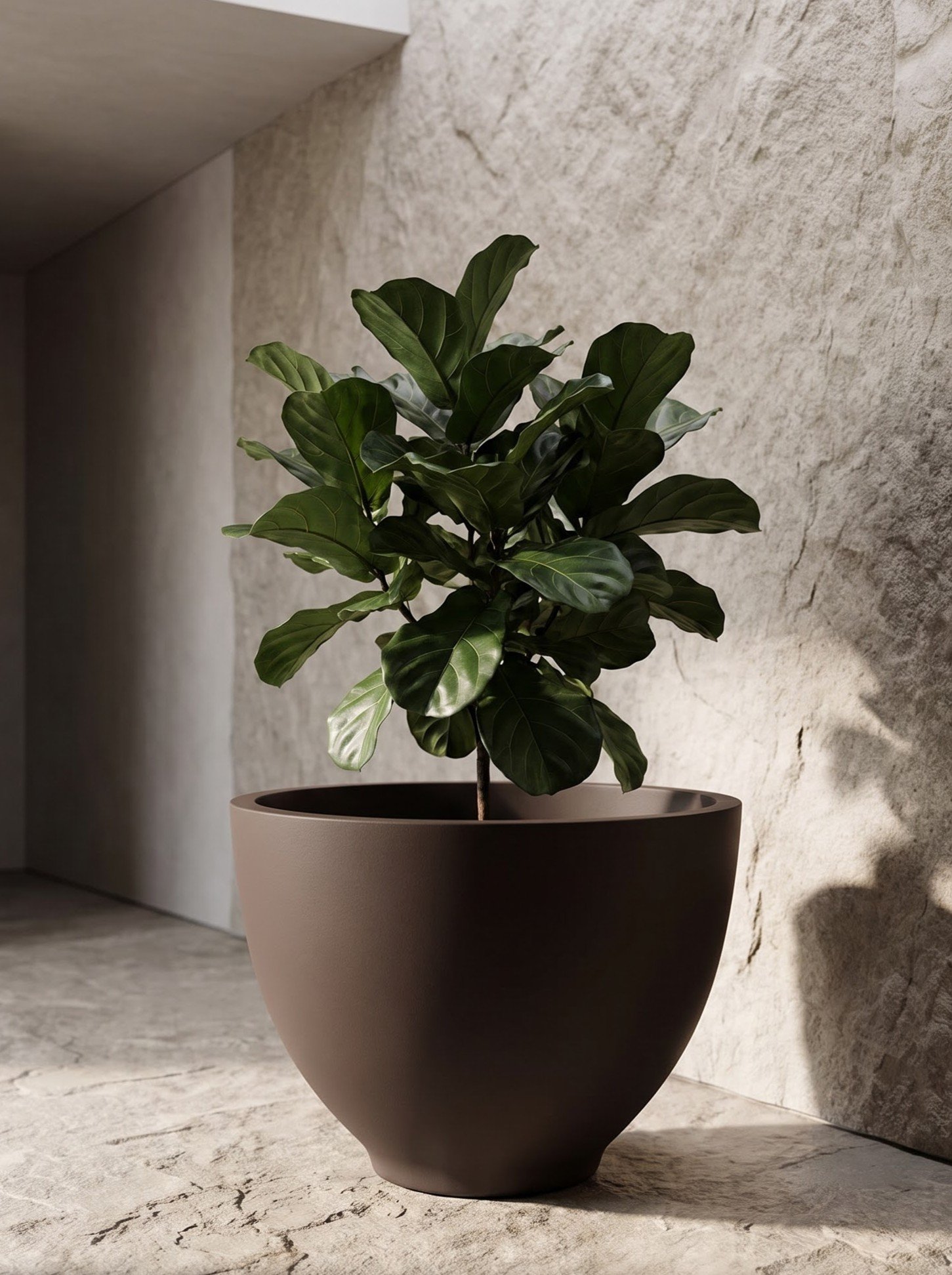Bowl-B - Image 13