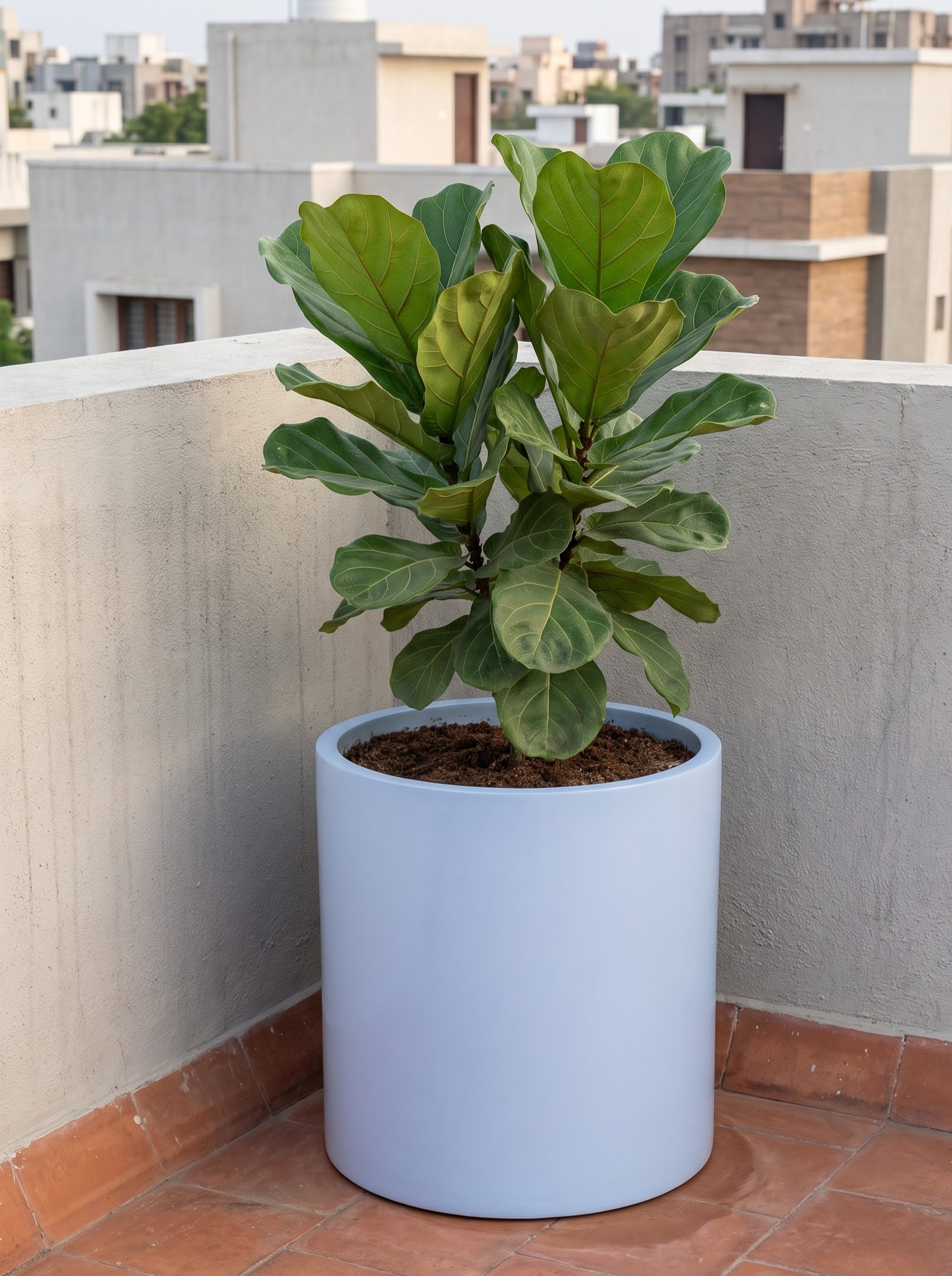 STRAIGHT CYLINDER - Image 10