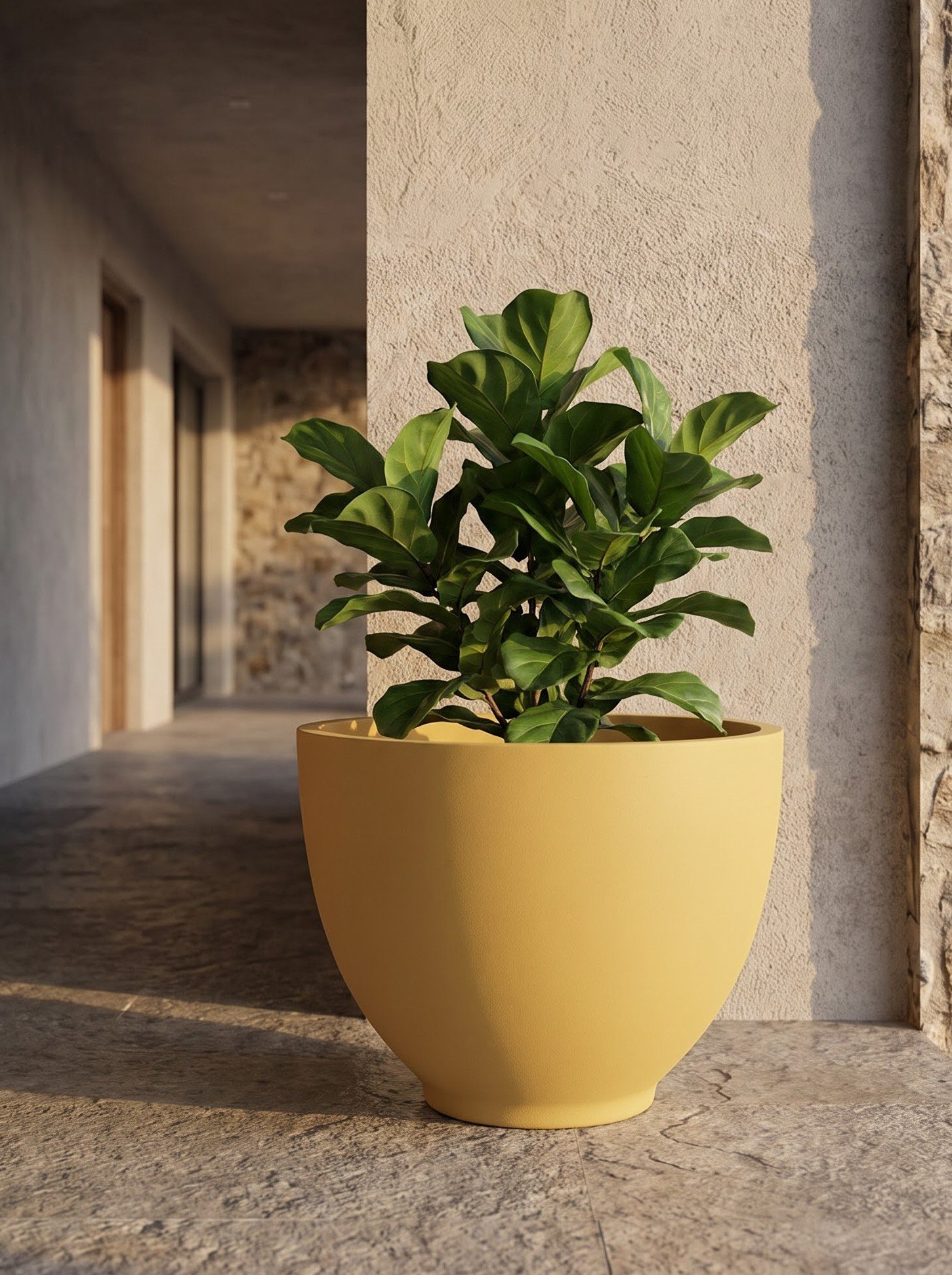 Bowl-B - Image 6
