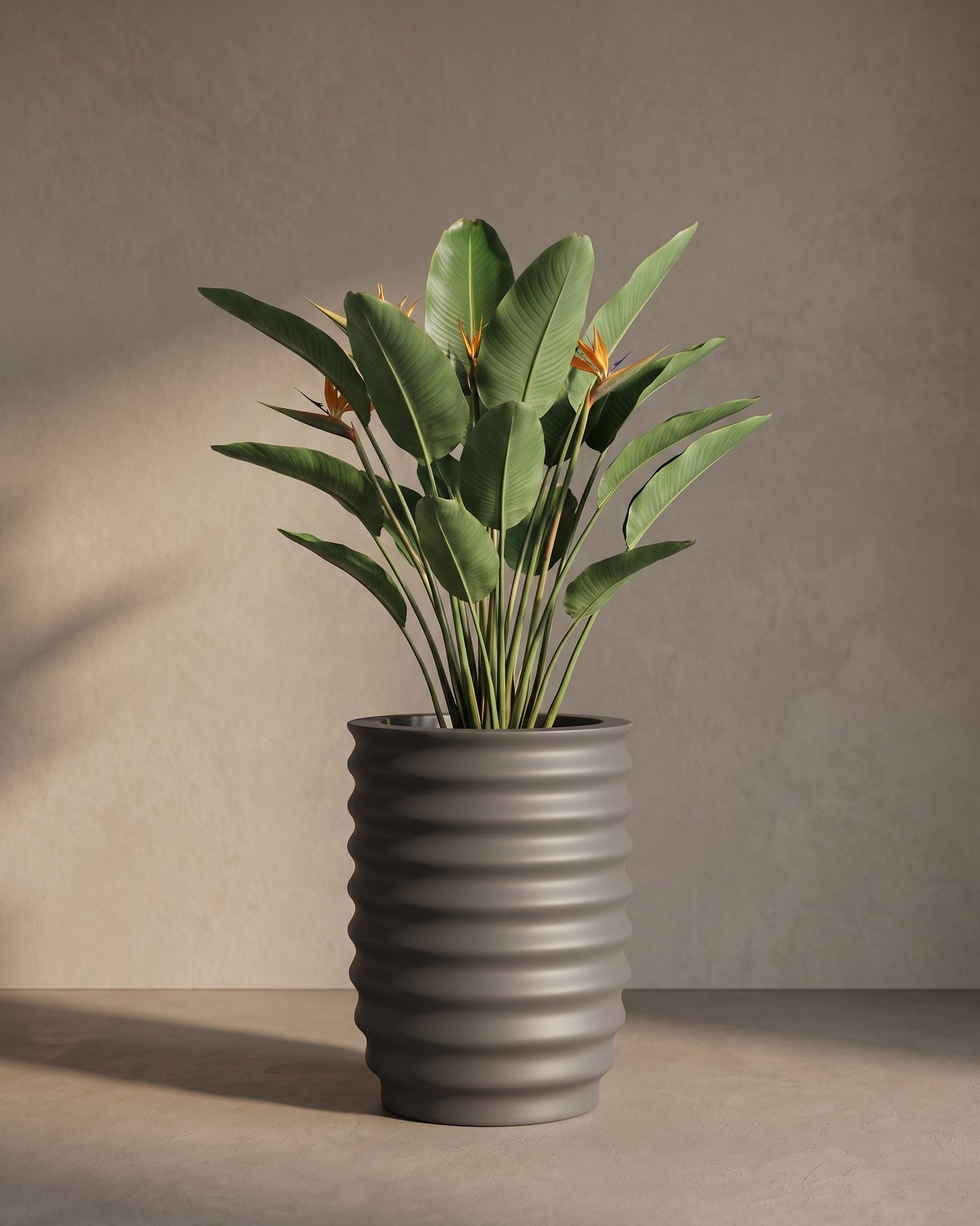 Vase-C - Image 2