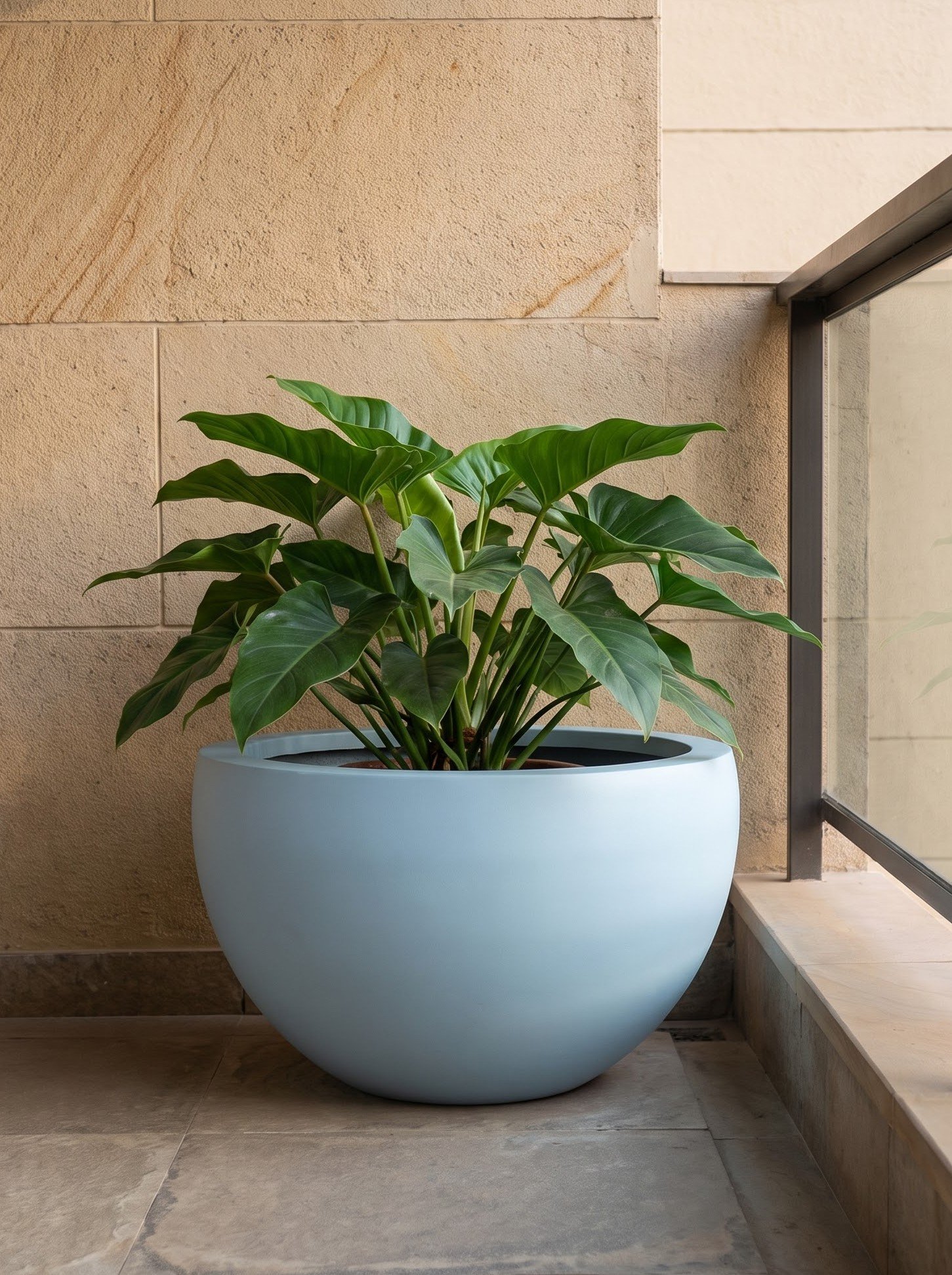 Bowl-A - Image 9