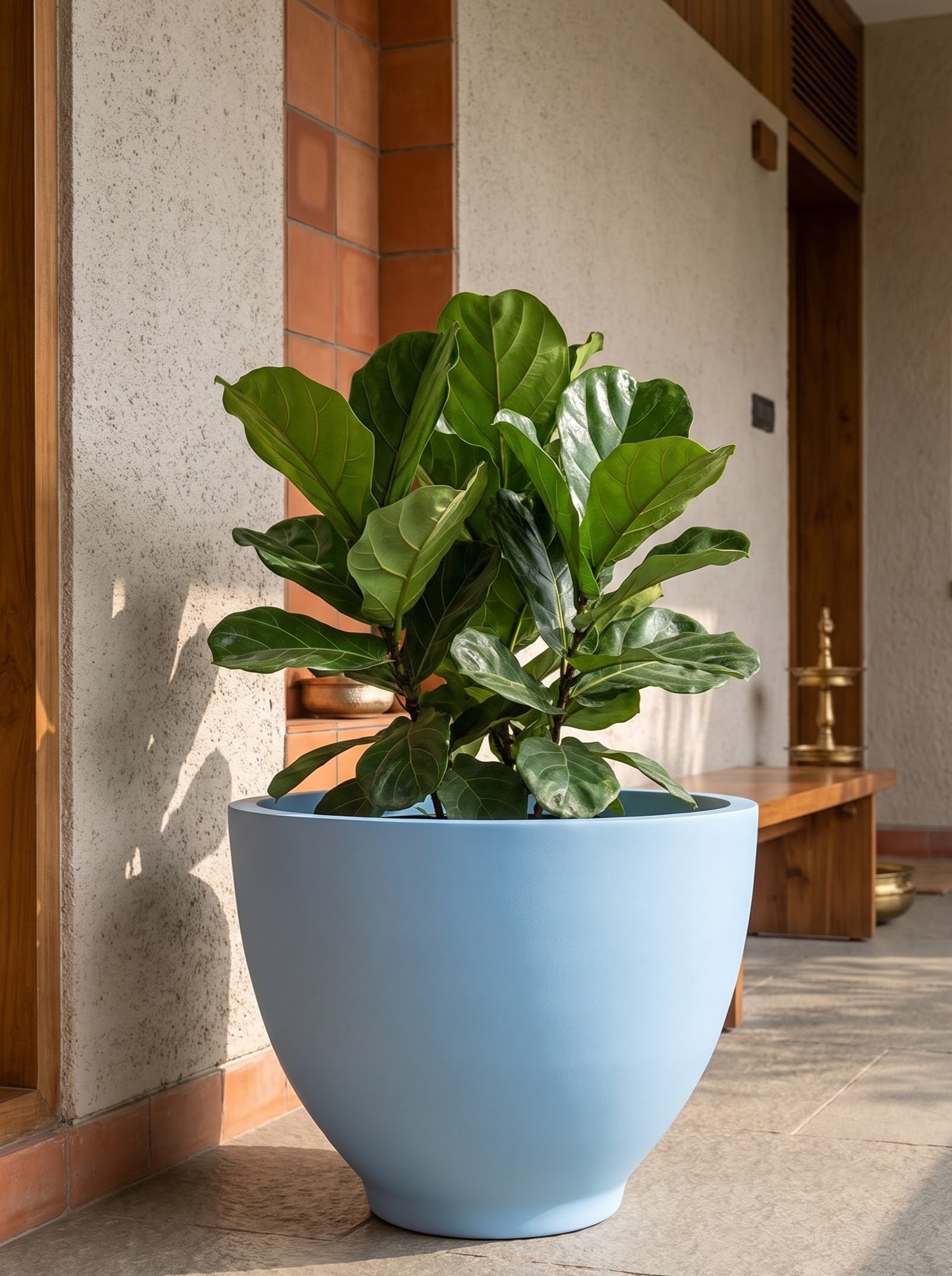 Bowl-B - Image 7