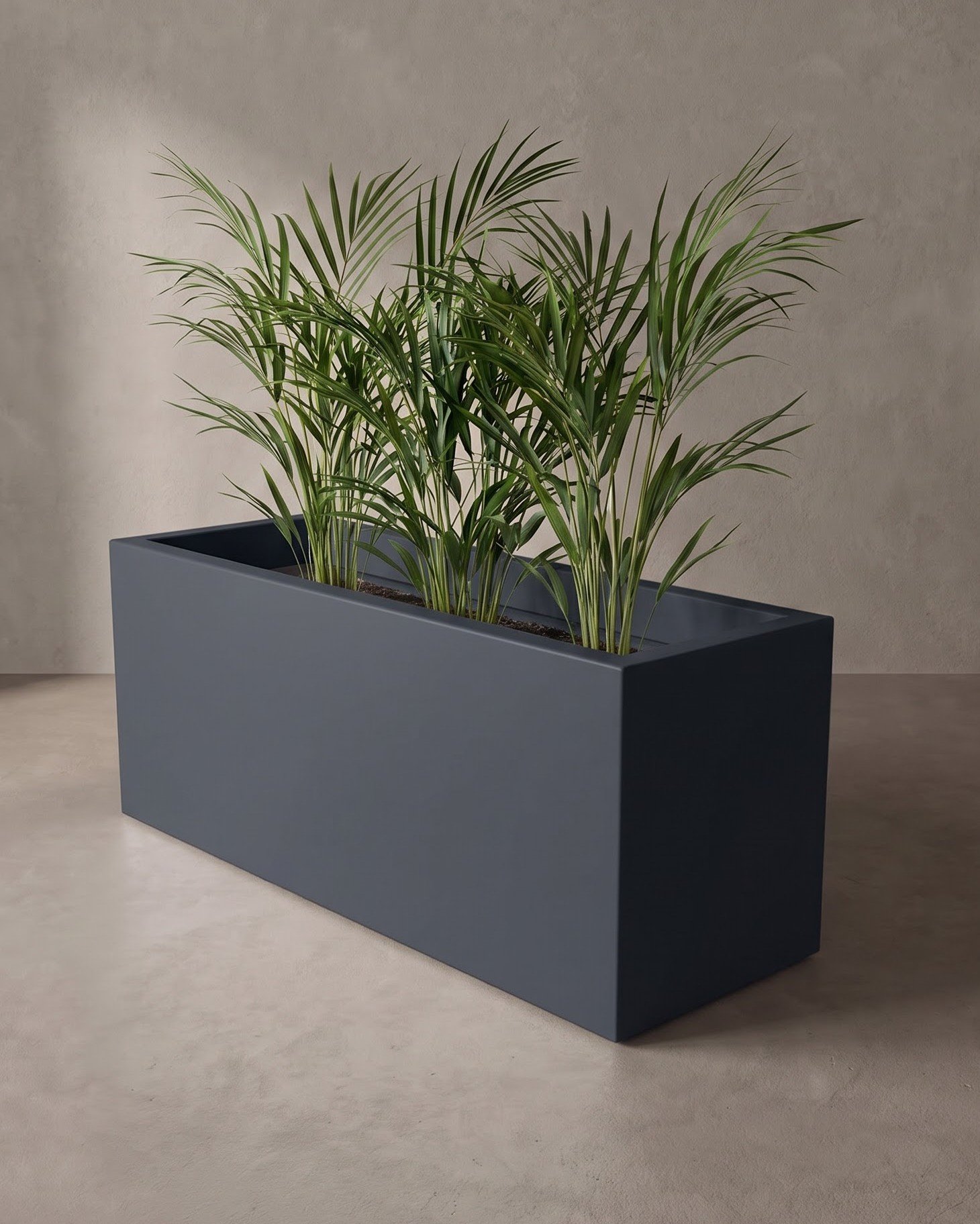 Linear - Image 3