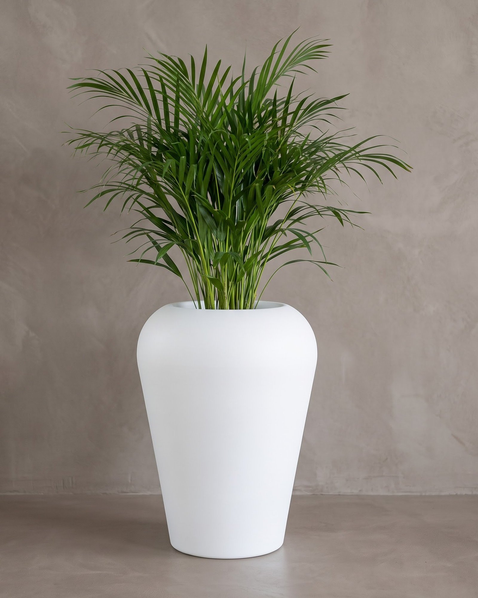 Vase-A - Image 4