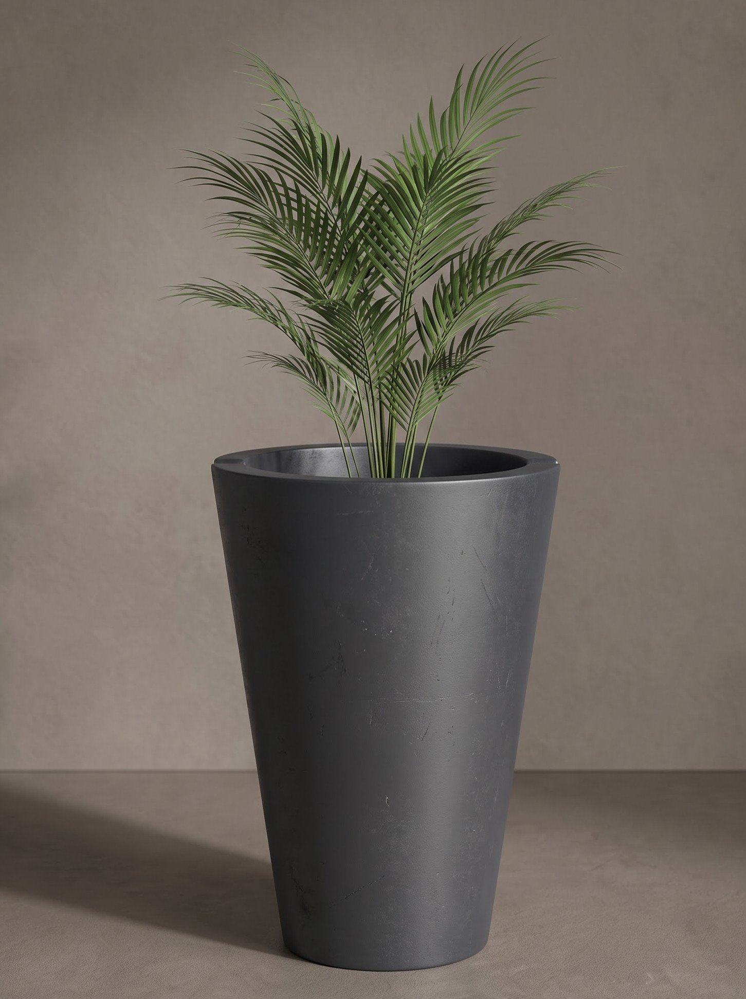 Cono - Image 3