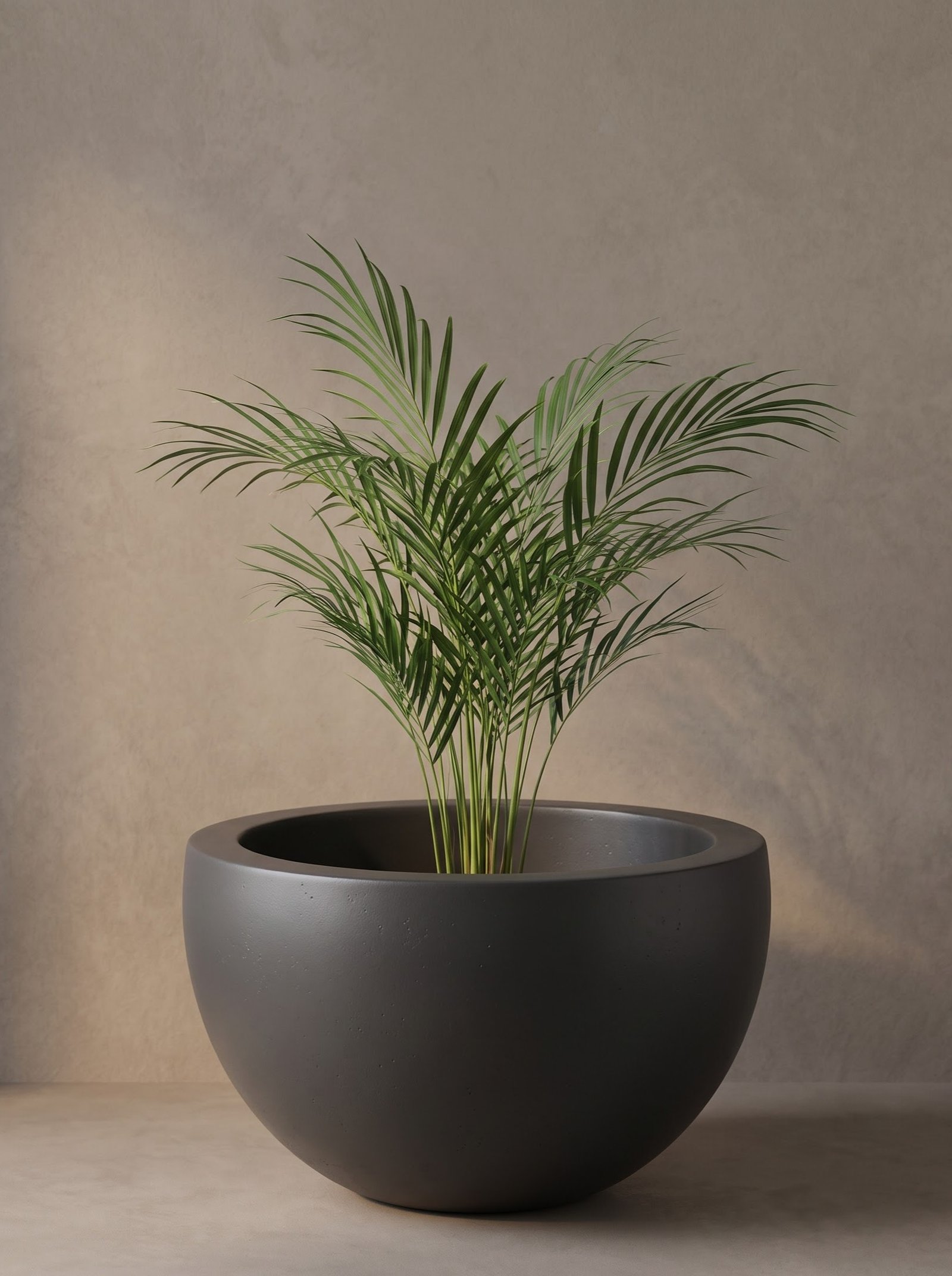 Bowl-A - Image 3