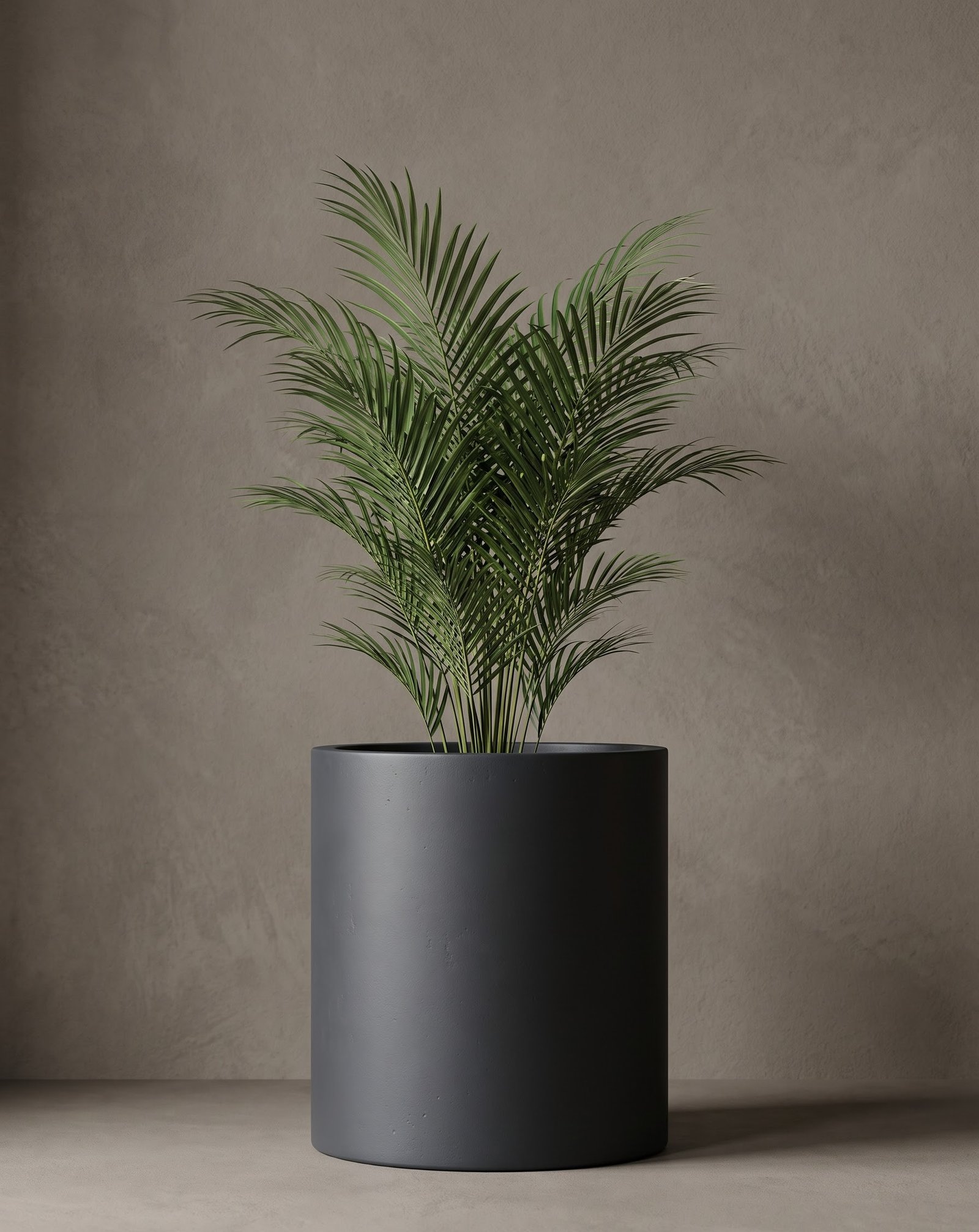 Cylinder-B - Image 3