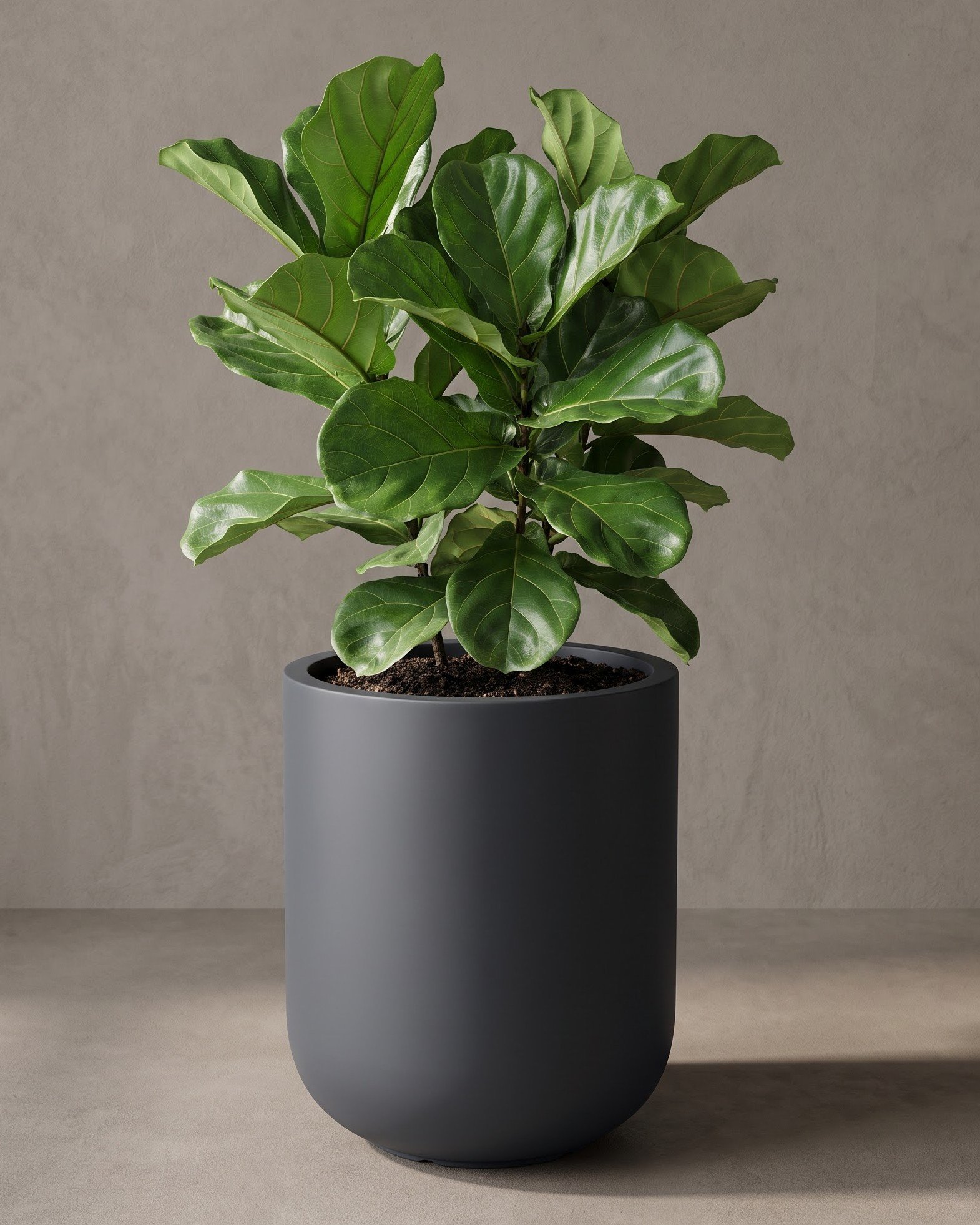 Cylinder-A - Image 3