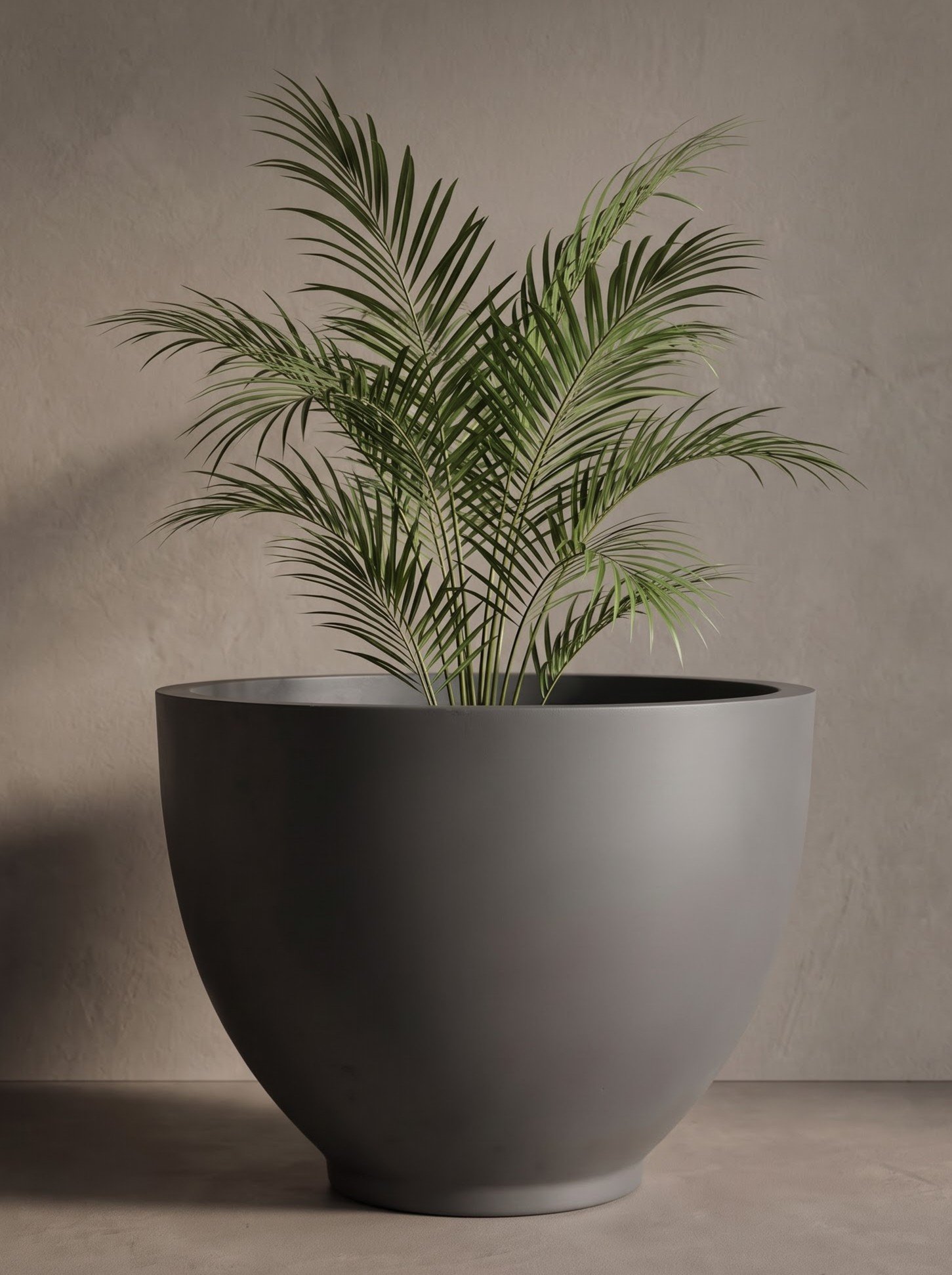 Bowl-B - Image 3