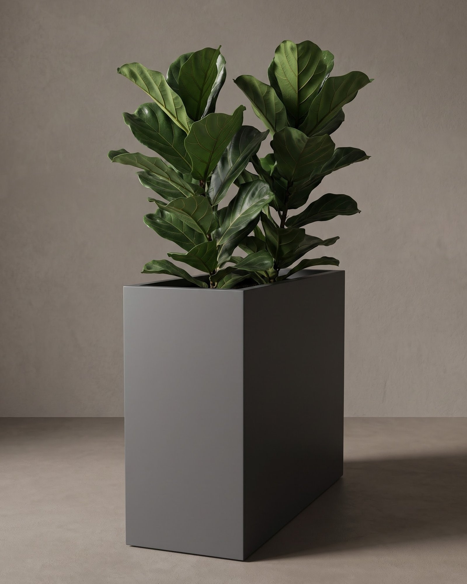 Stela - Image 3