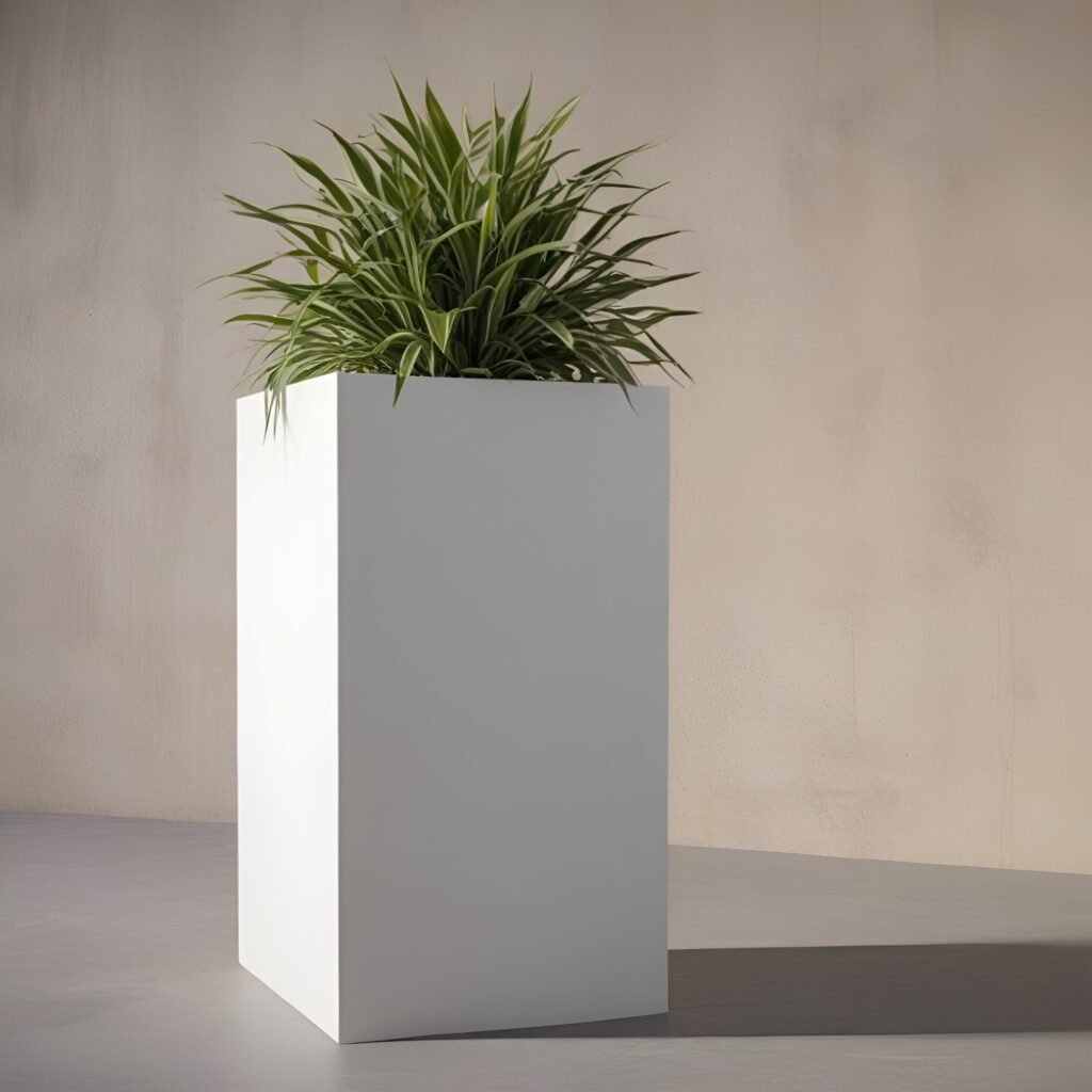 TALL Cube
