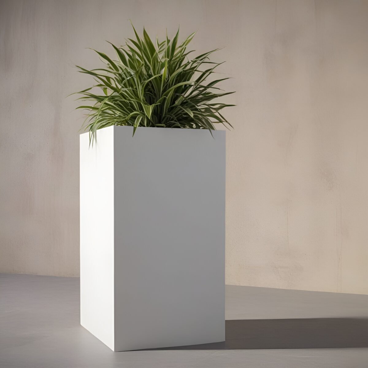TALL Cube