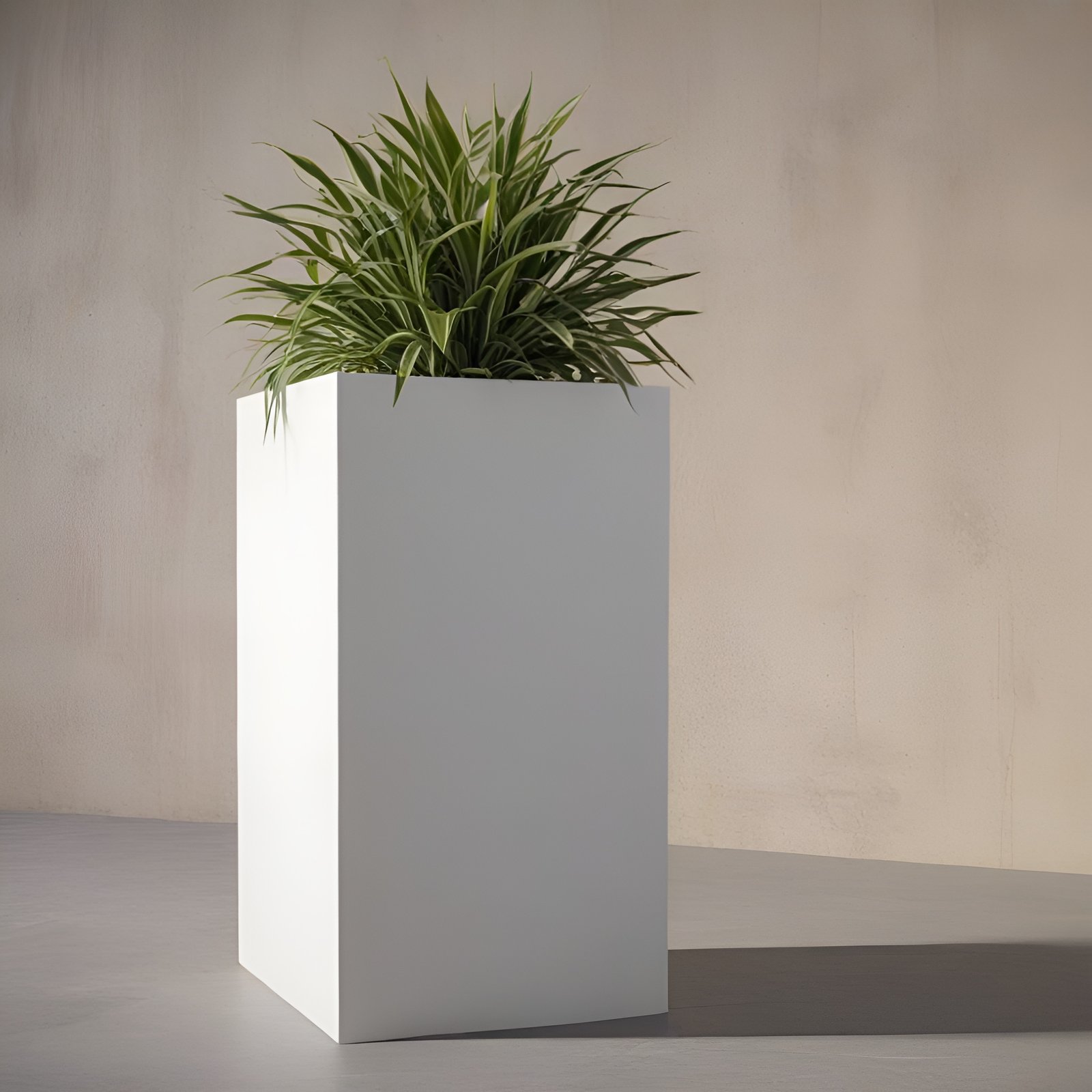 TALL Cube
