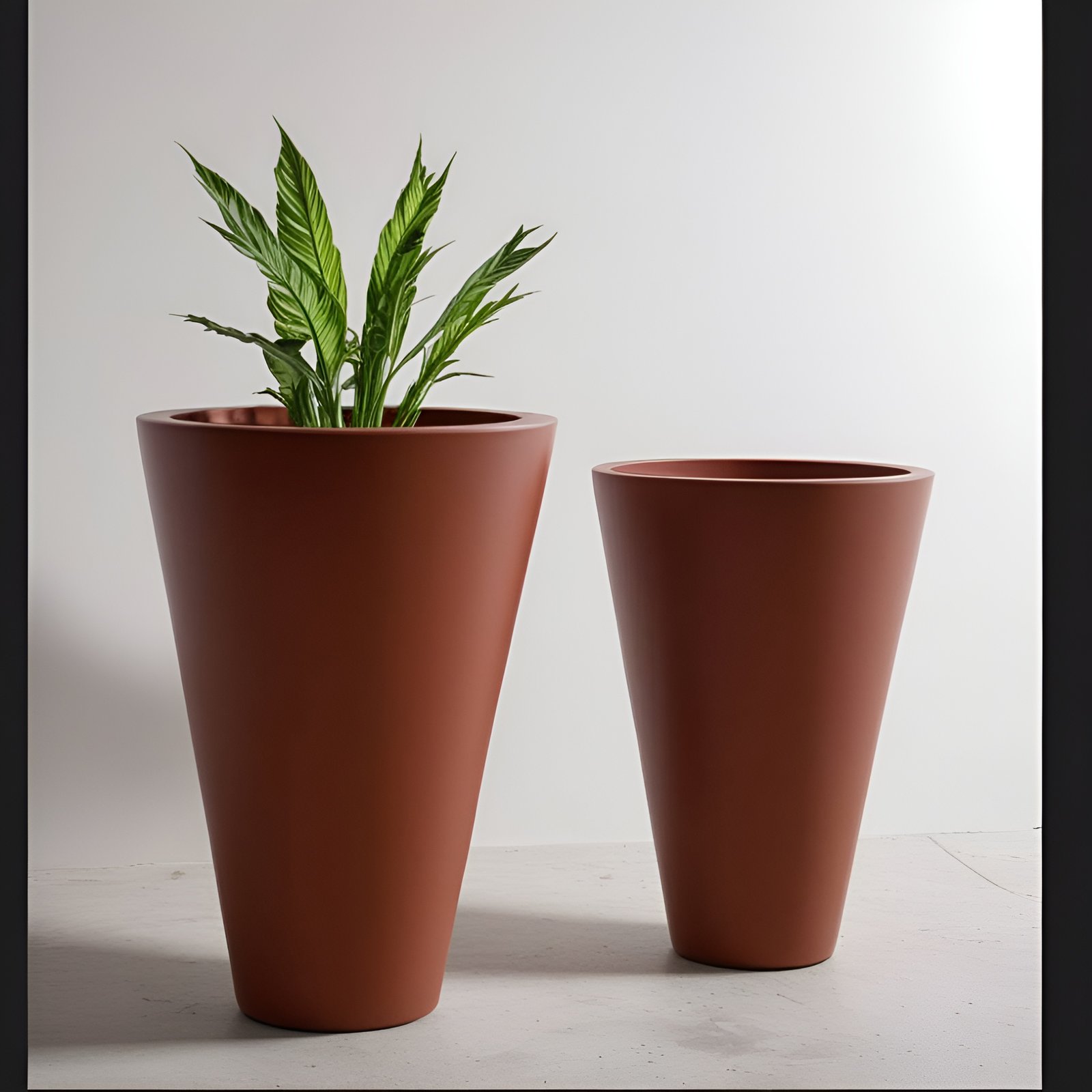 Cono