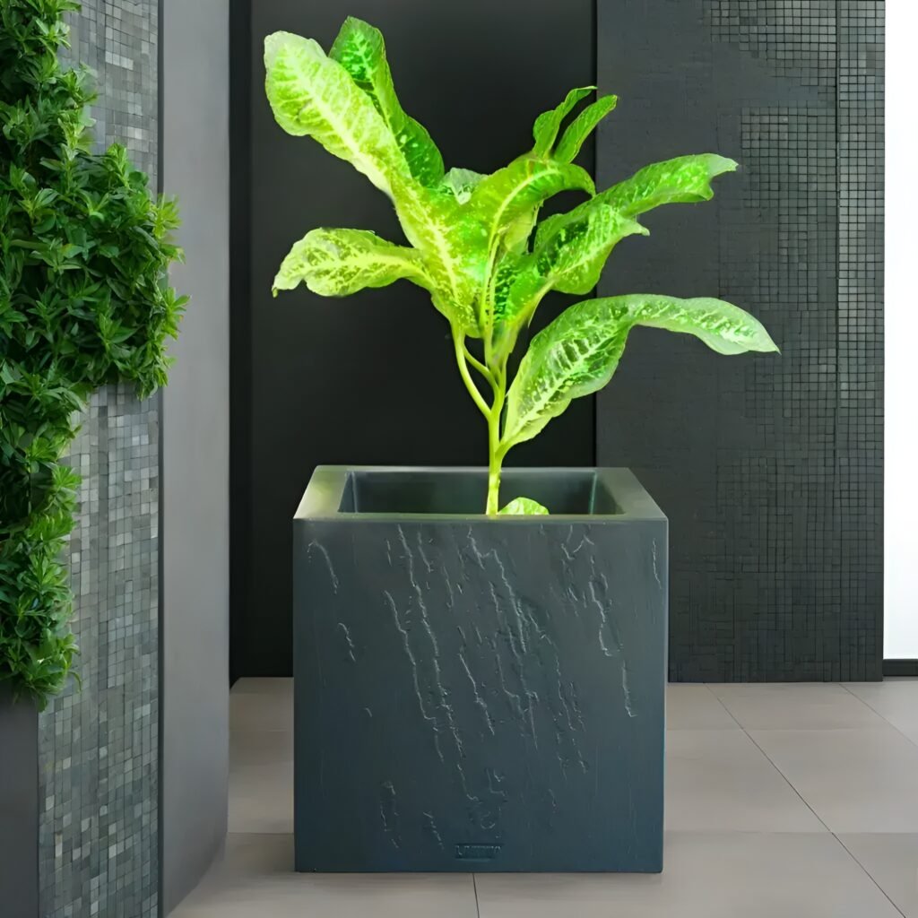 Texture Cube