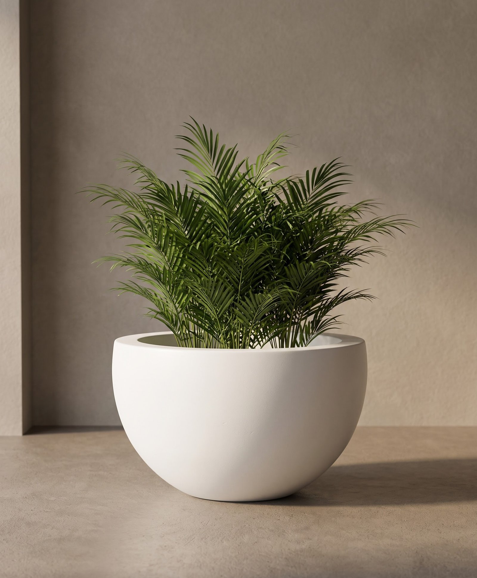 Bowl-A - Image 2