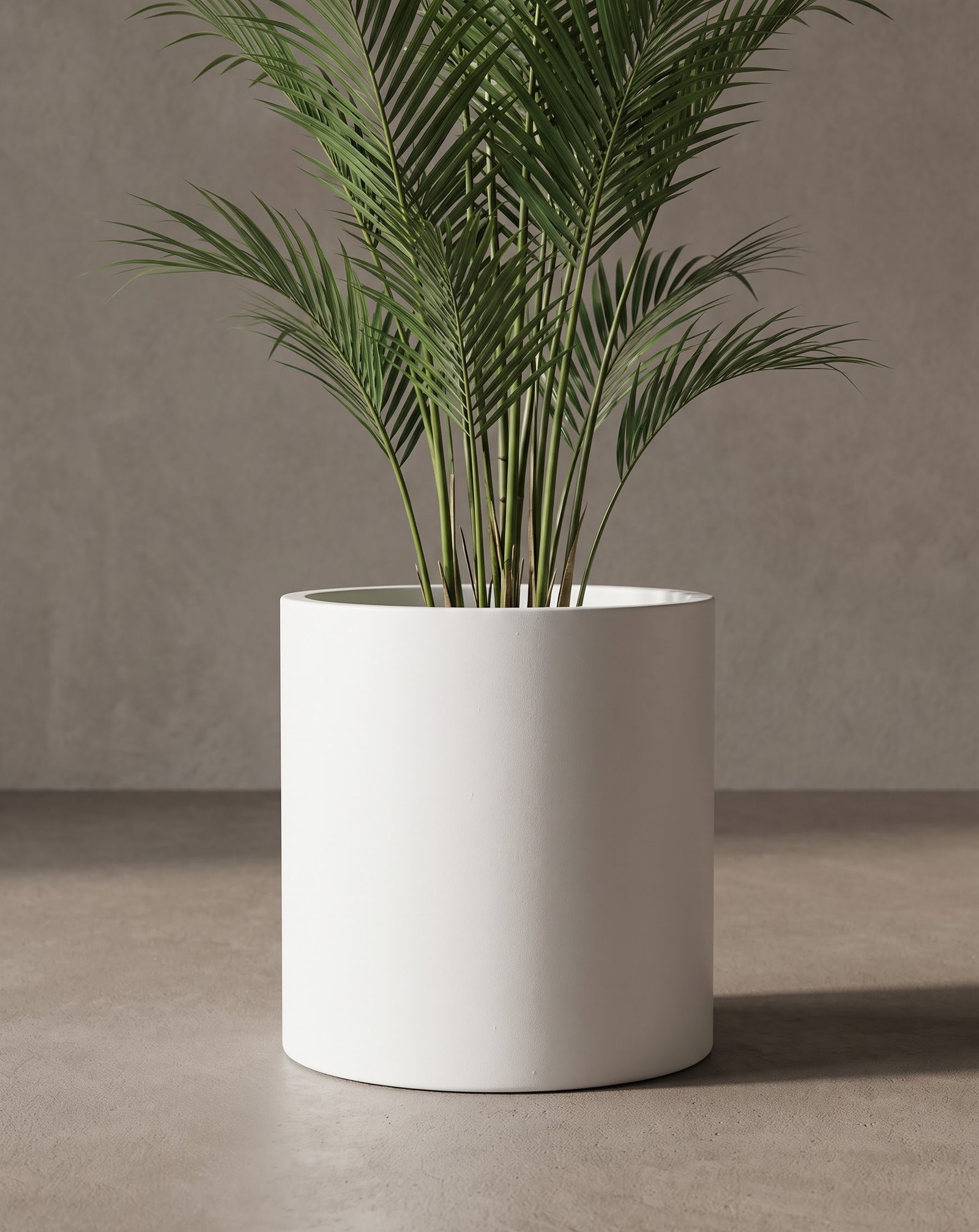 Cylinder-B - Image 2