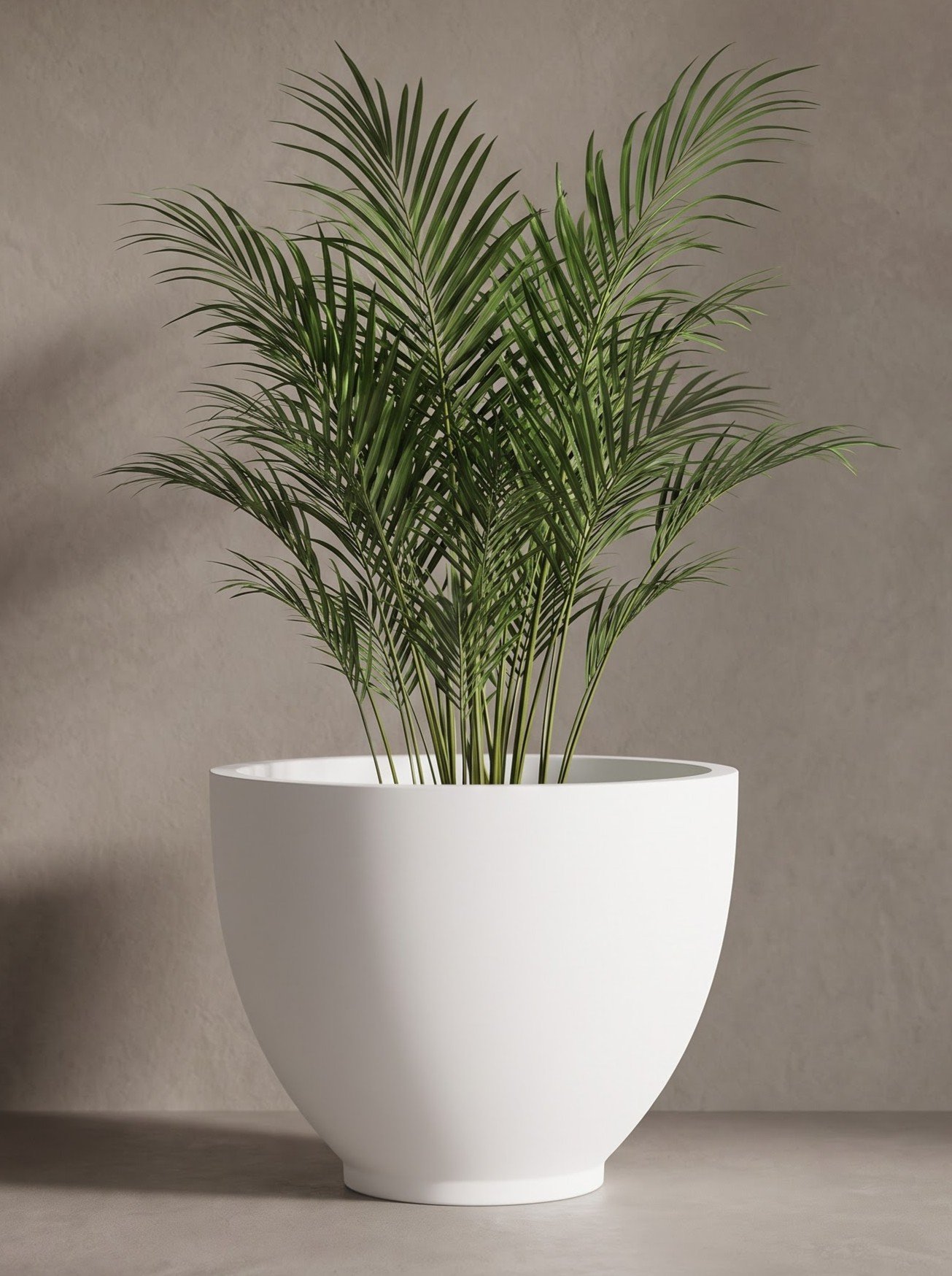 Bowl-B - Image 2
