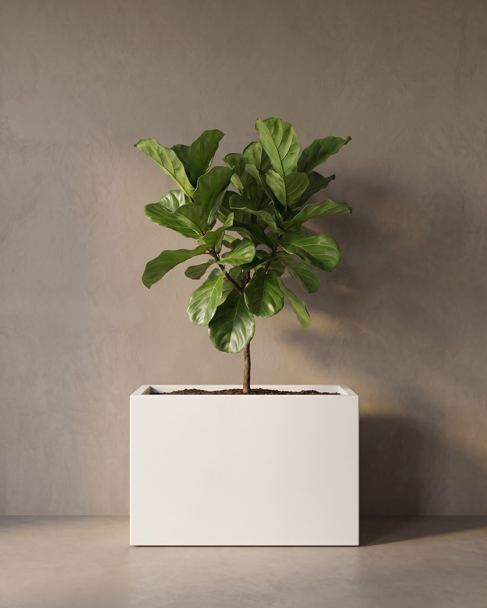 Stela - Image 2