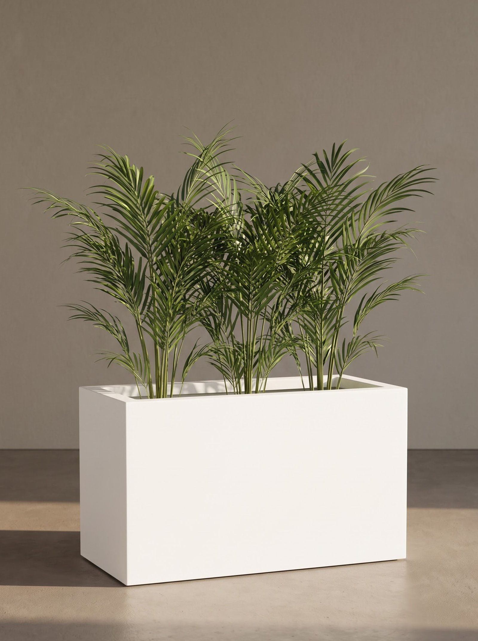 Tub - Image 2