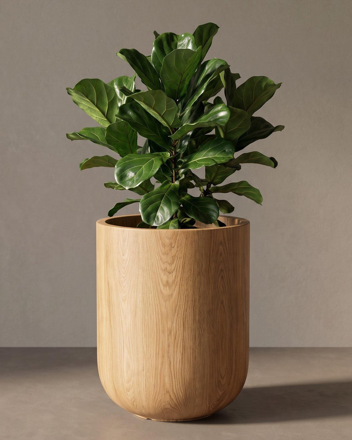 Cylinder-A - Image 4