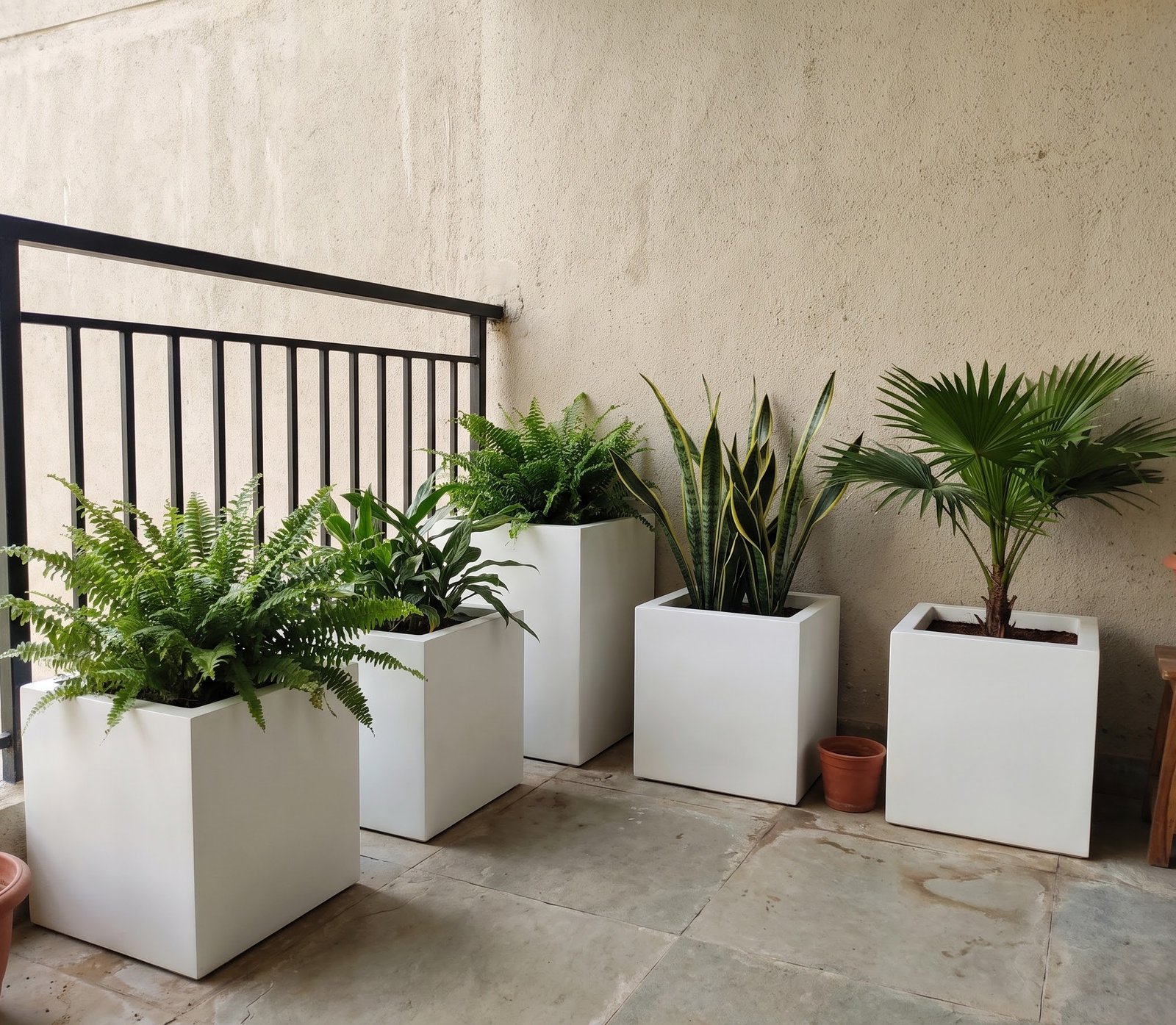 Sleek Railing and Wall Lines