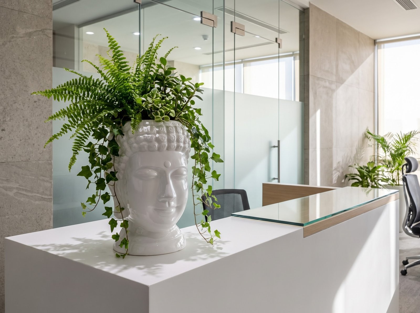 Buddha Planter on Reception Desk