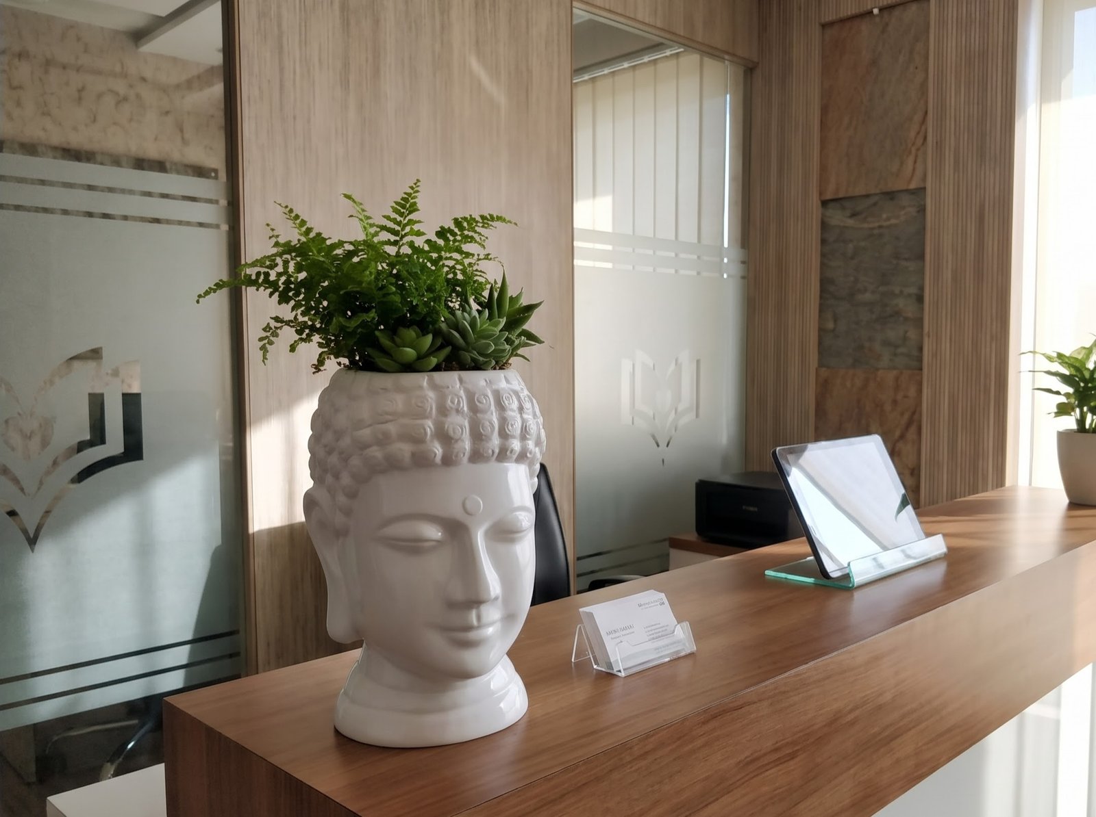 Gallery 6