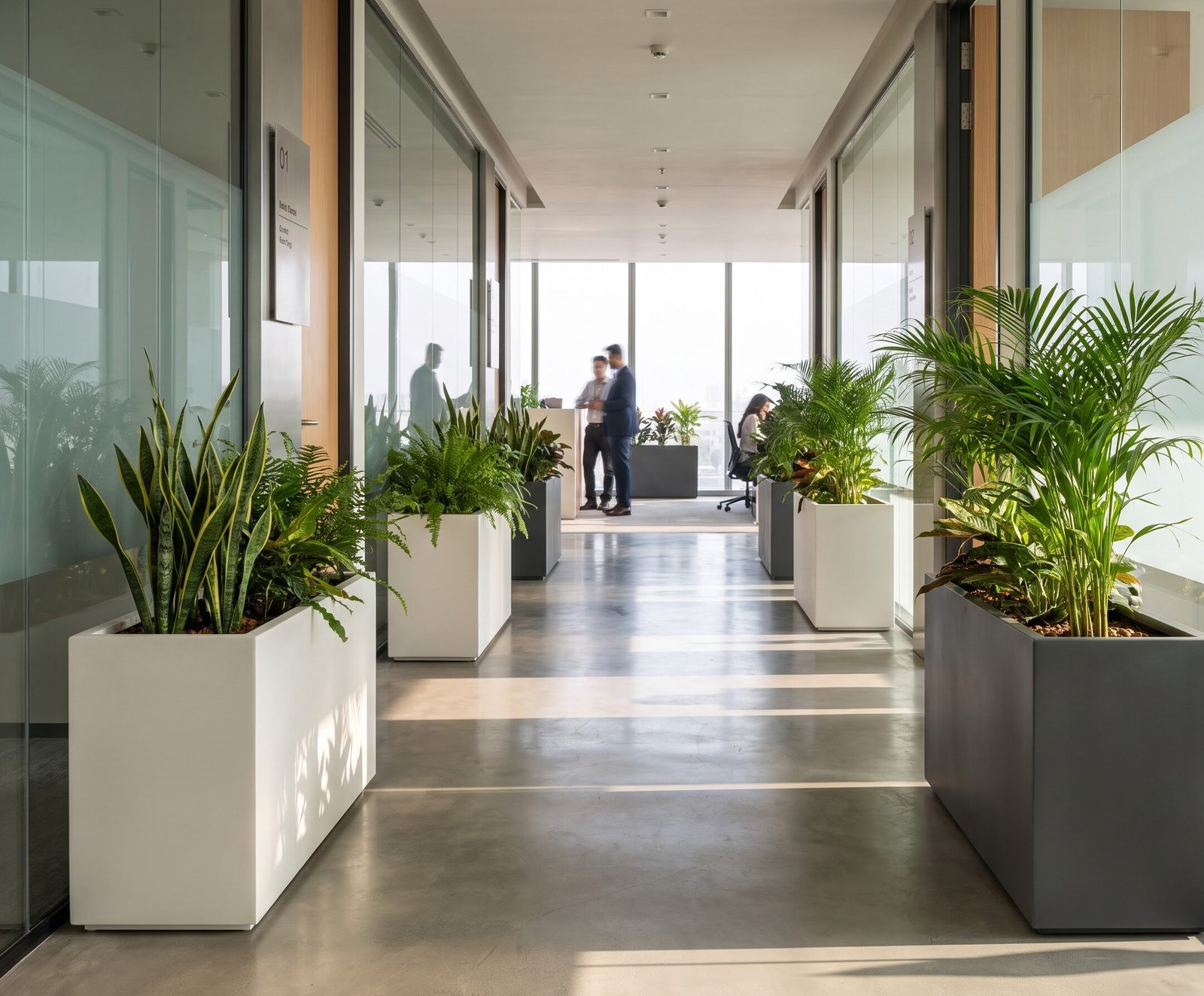 Commercial corridor with indoor plants