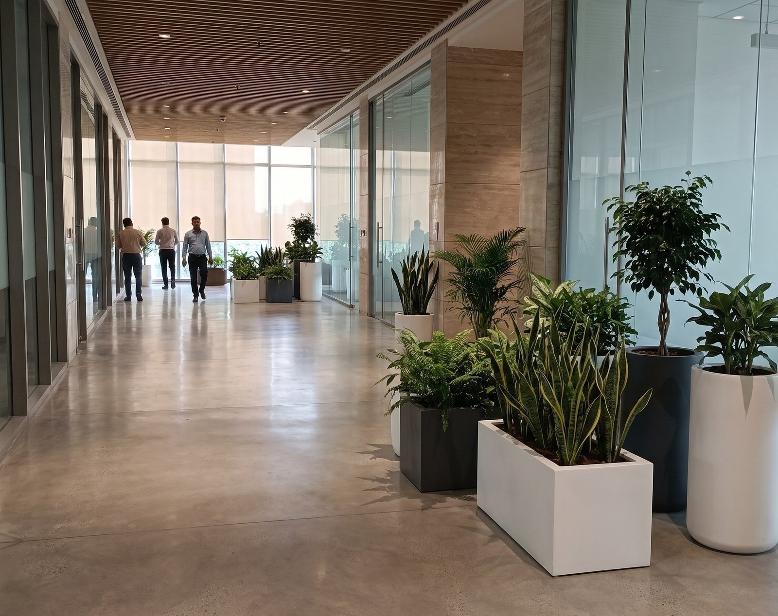 Corridor landscaped with FRP planters