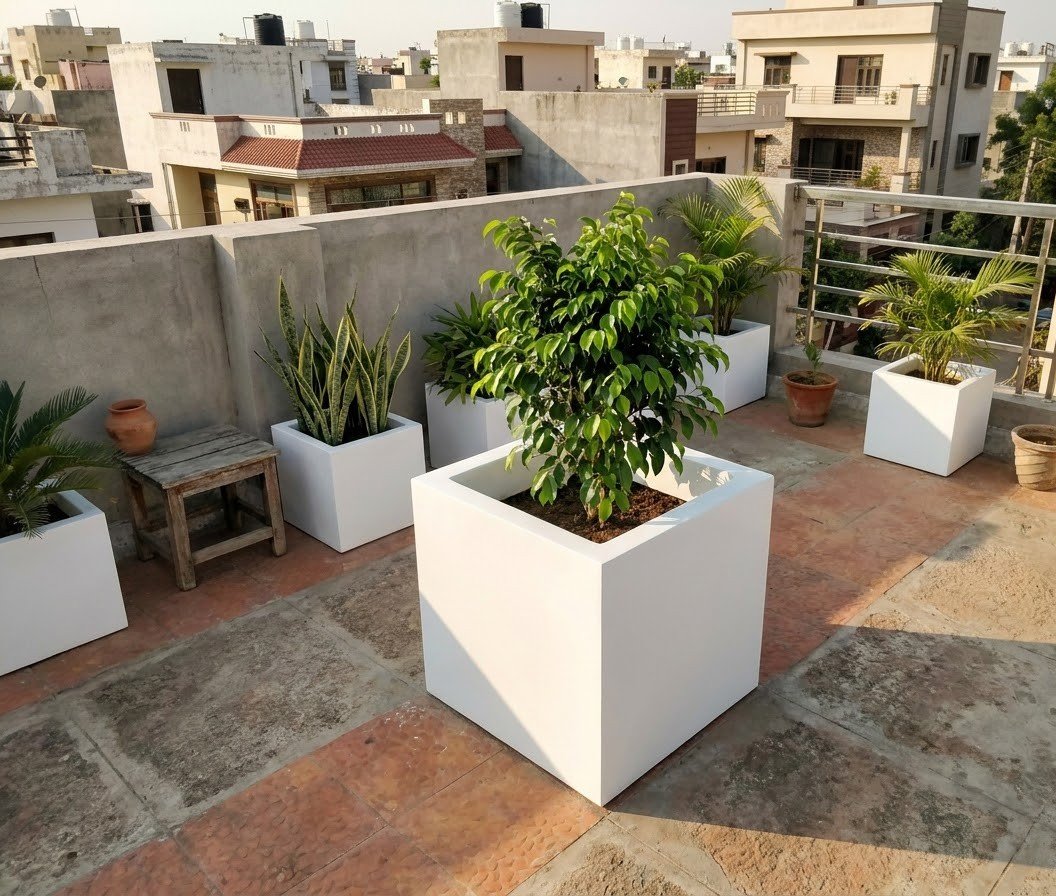 Gallery 4