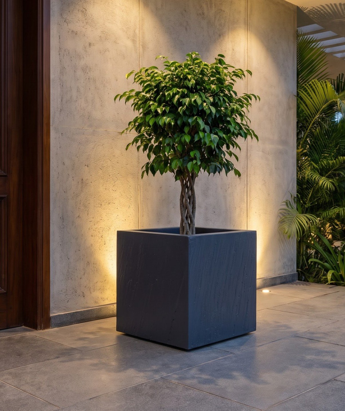 FRP Planter Near Villa Door