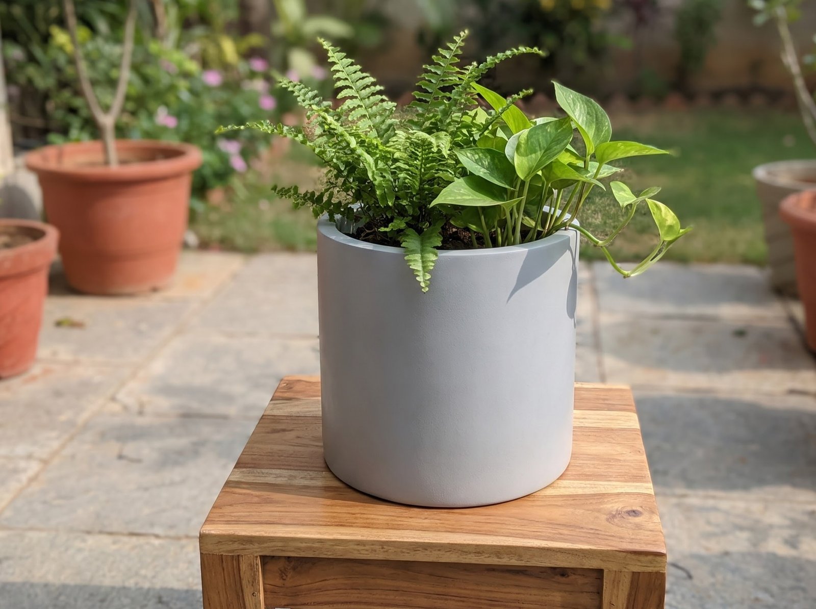 Durable FRP Dates Planter on Patio Table