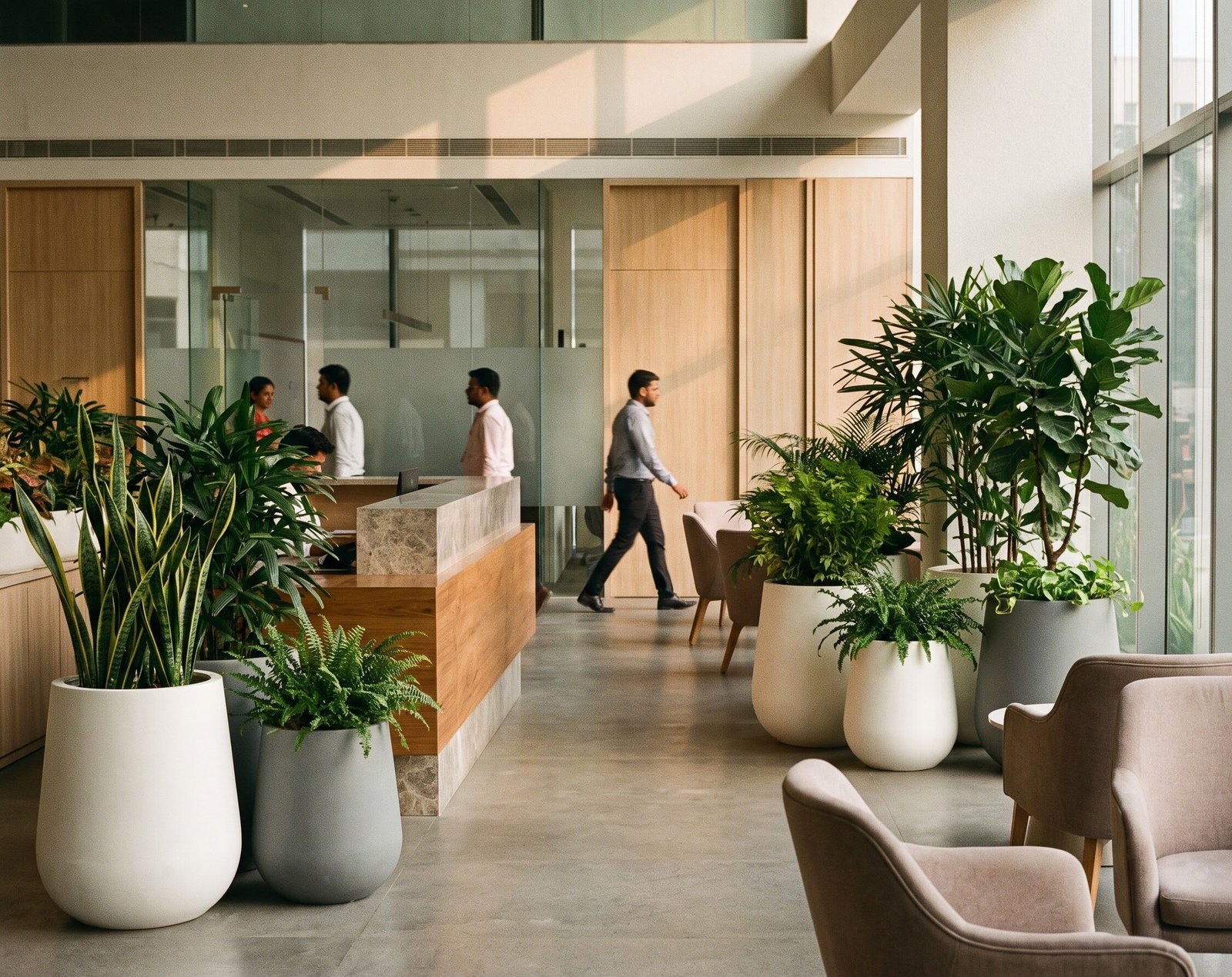 Indoor corporate landscaping project
