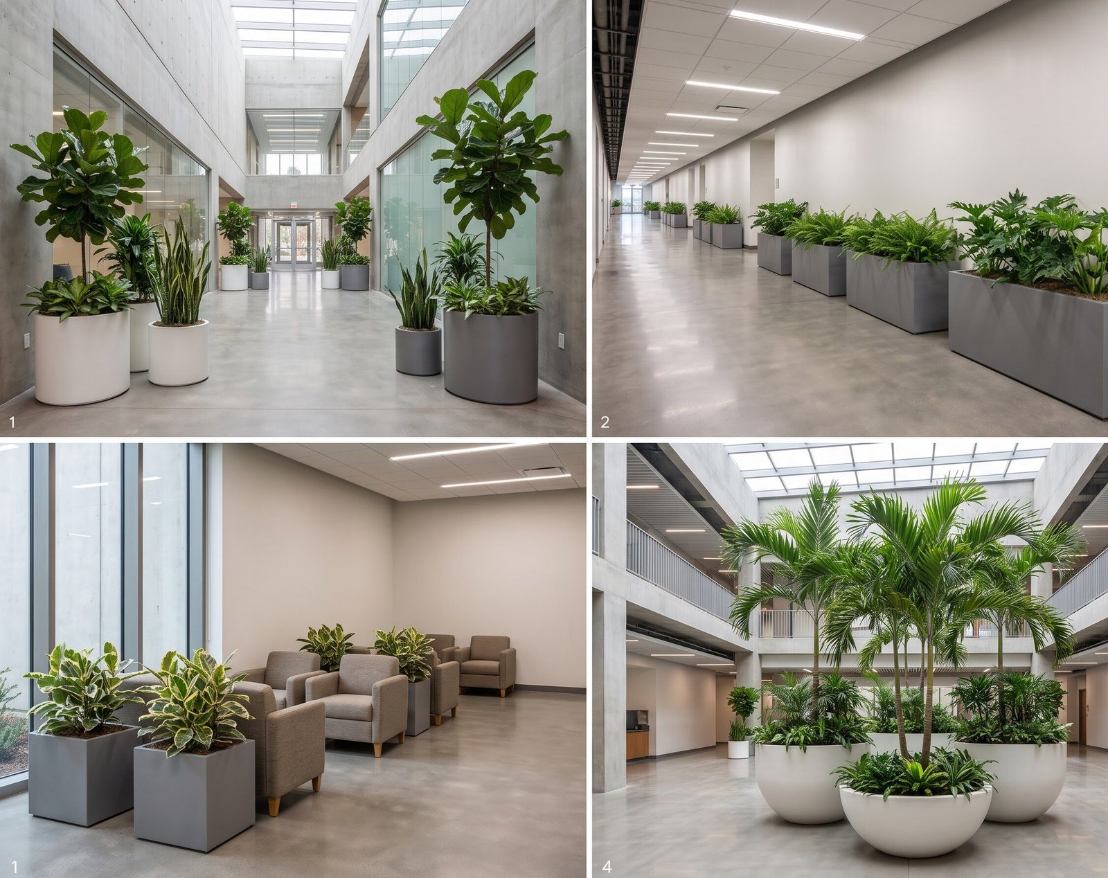 Indoor landscape project with planters