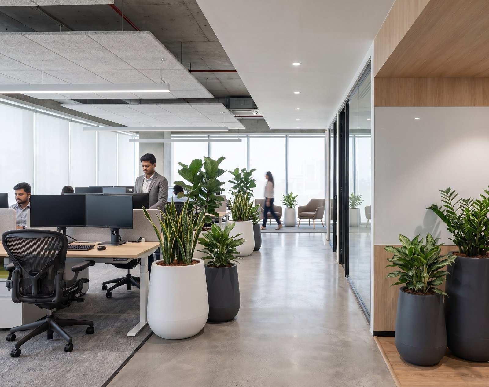 Modern office workspace with indoor plants