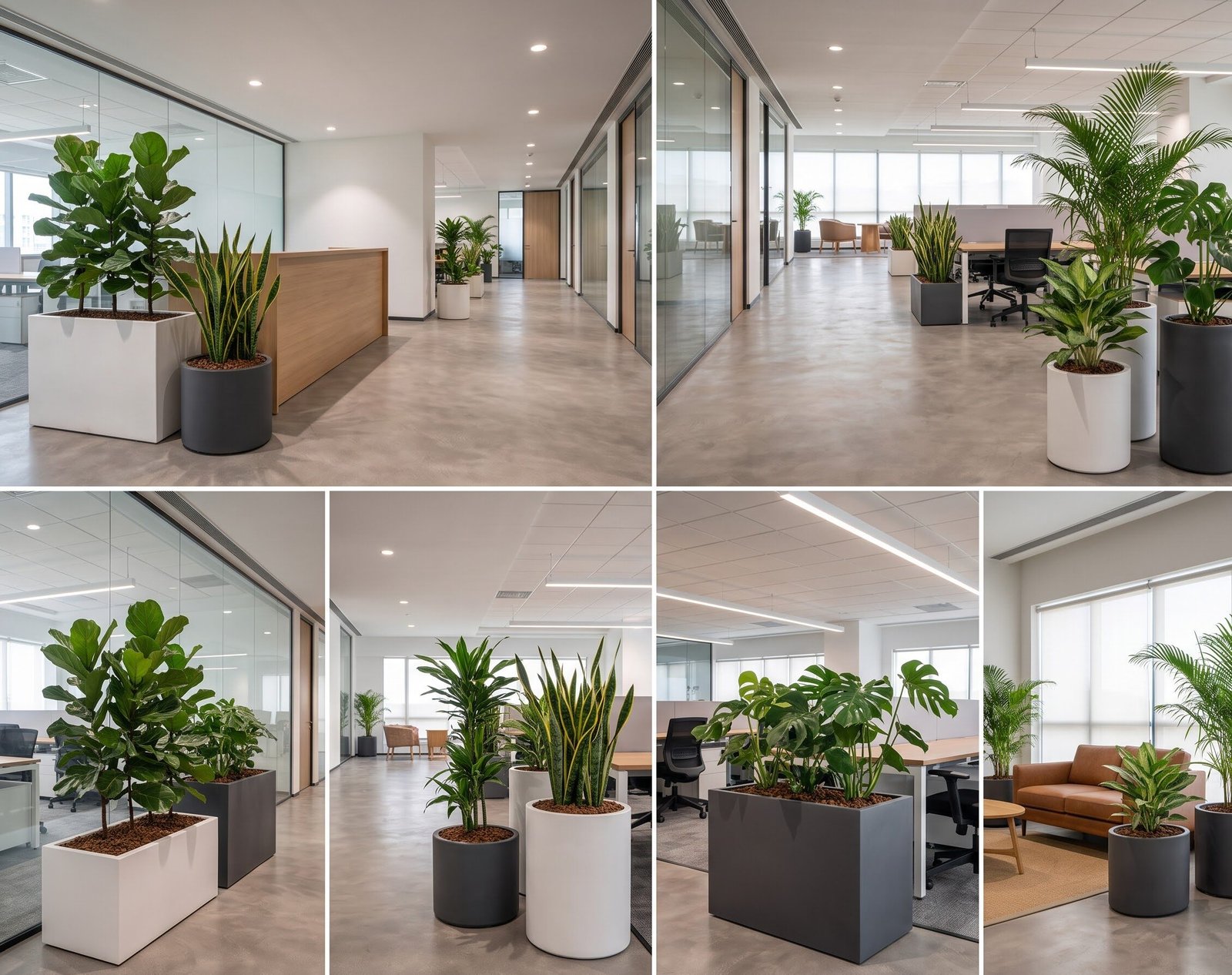 Office interior landscape project