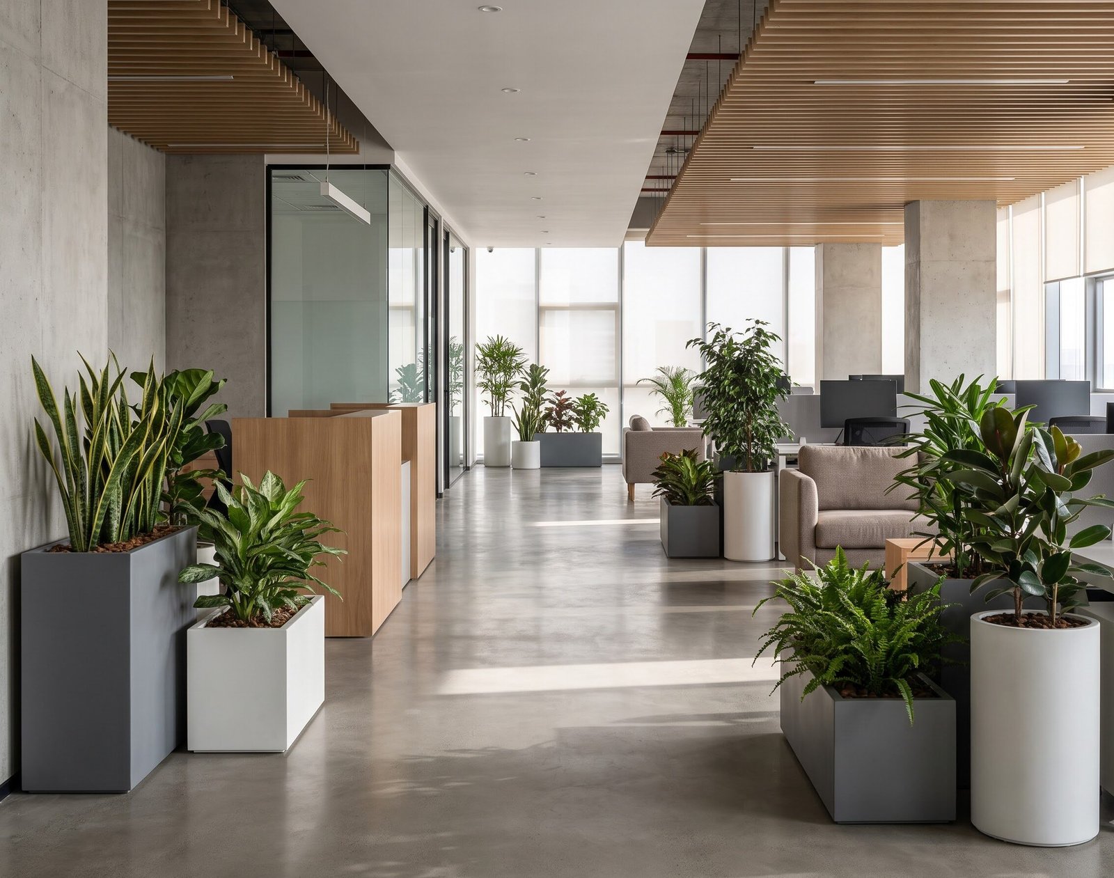 Office interior featuring lush indoor plants and modern FRP planters